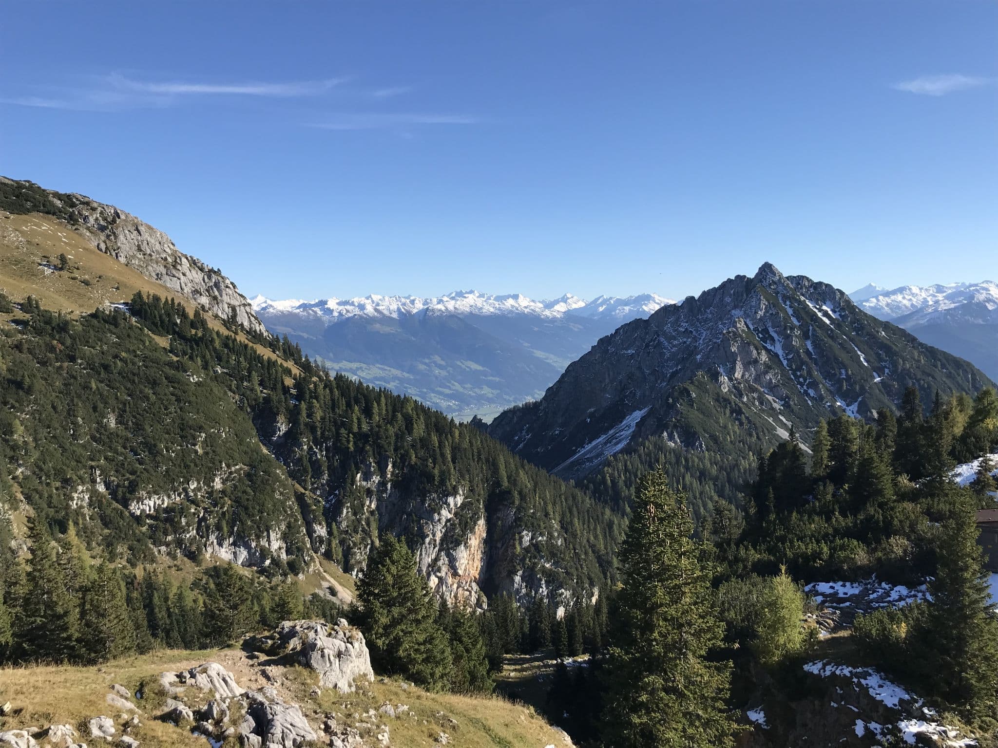 View