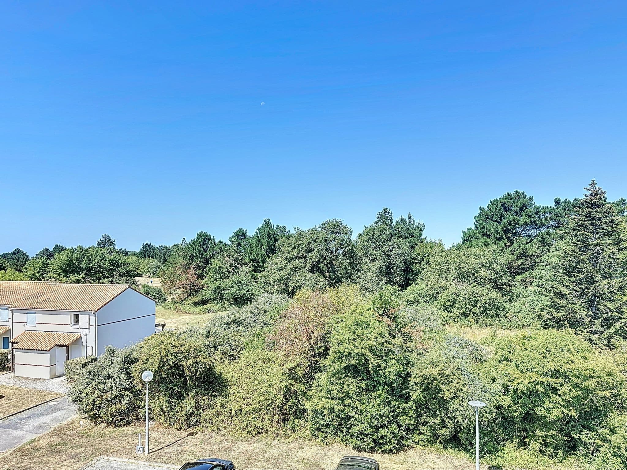 View