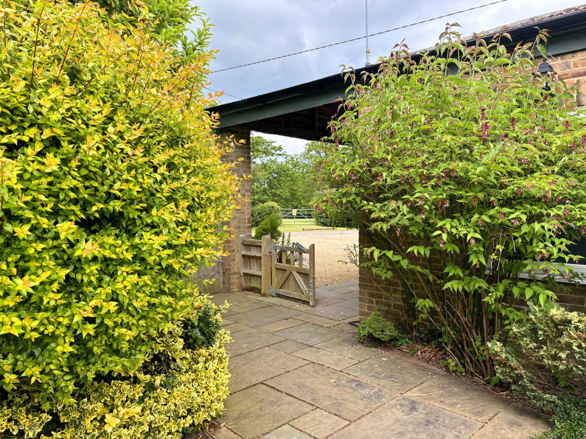 Outdoor