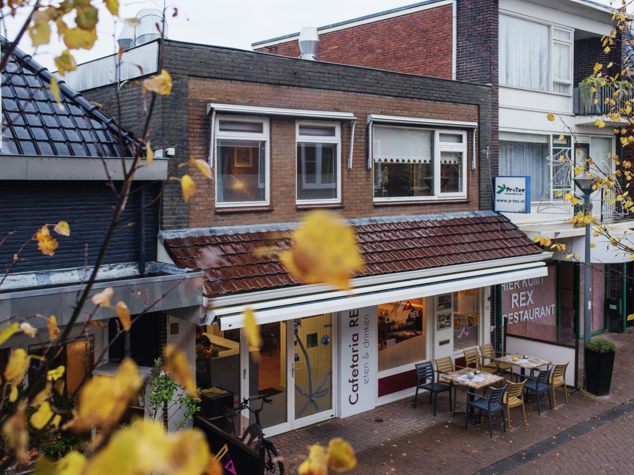 Terrace