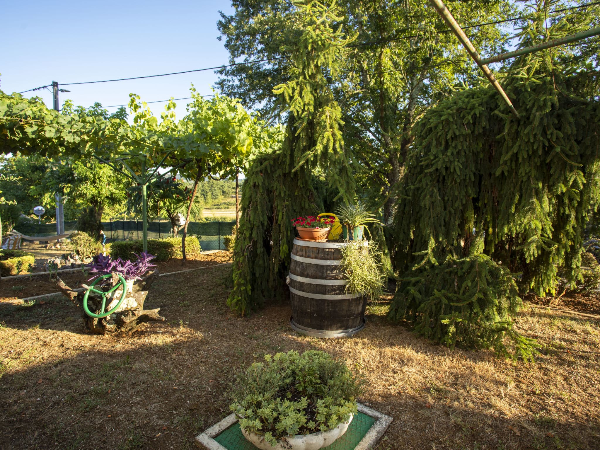 Outdoor