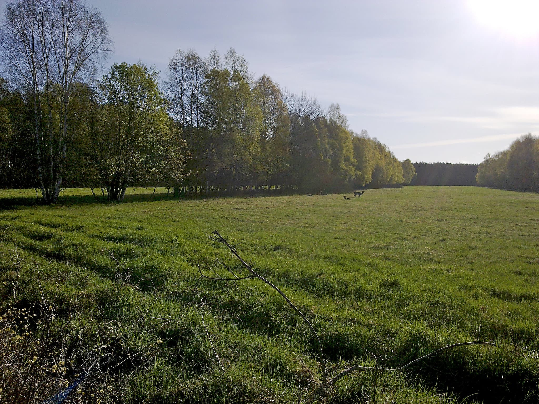 Place