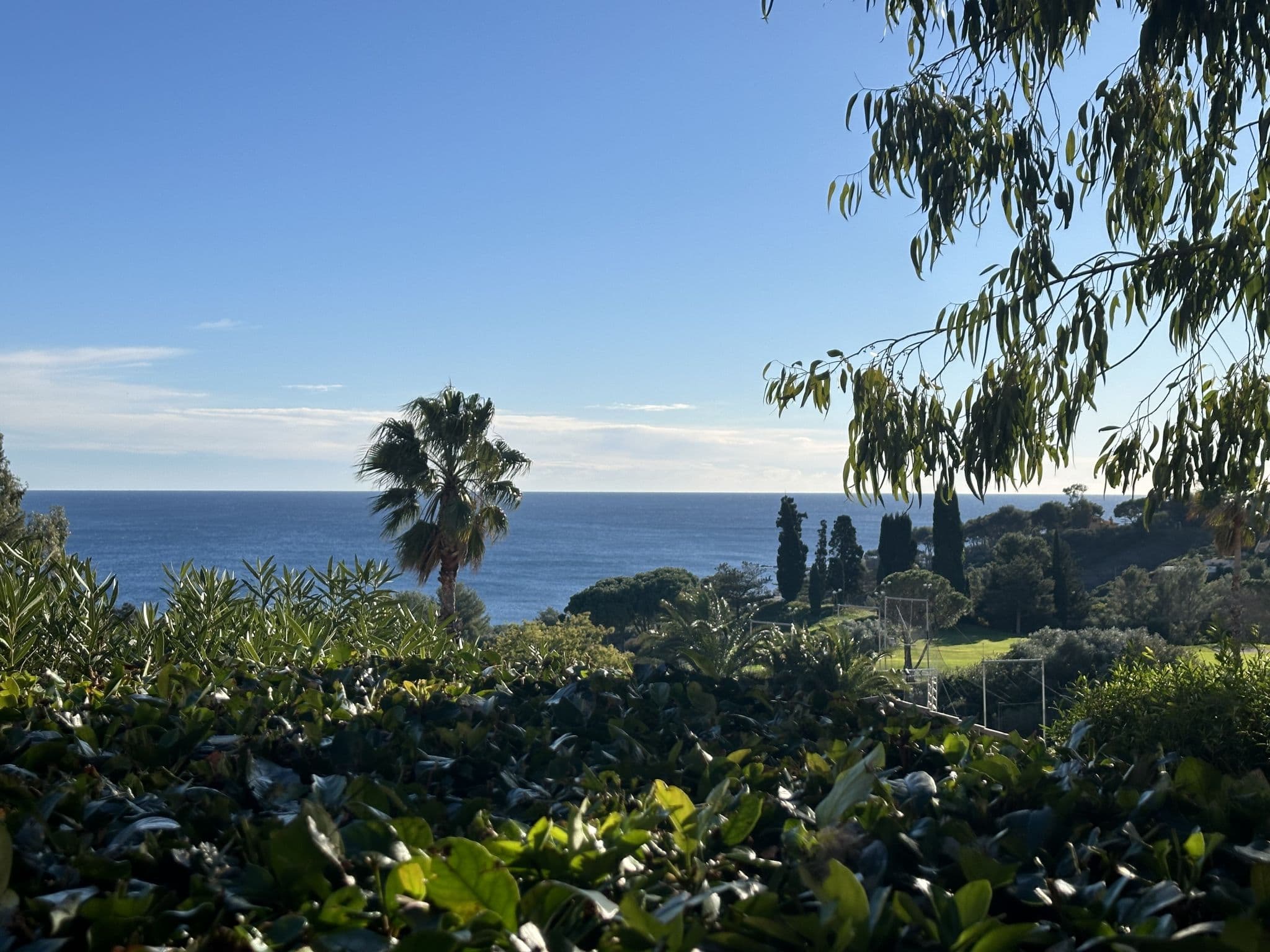 View