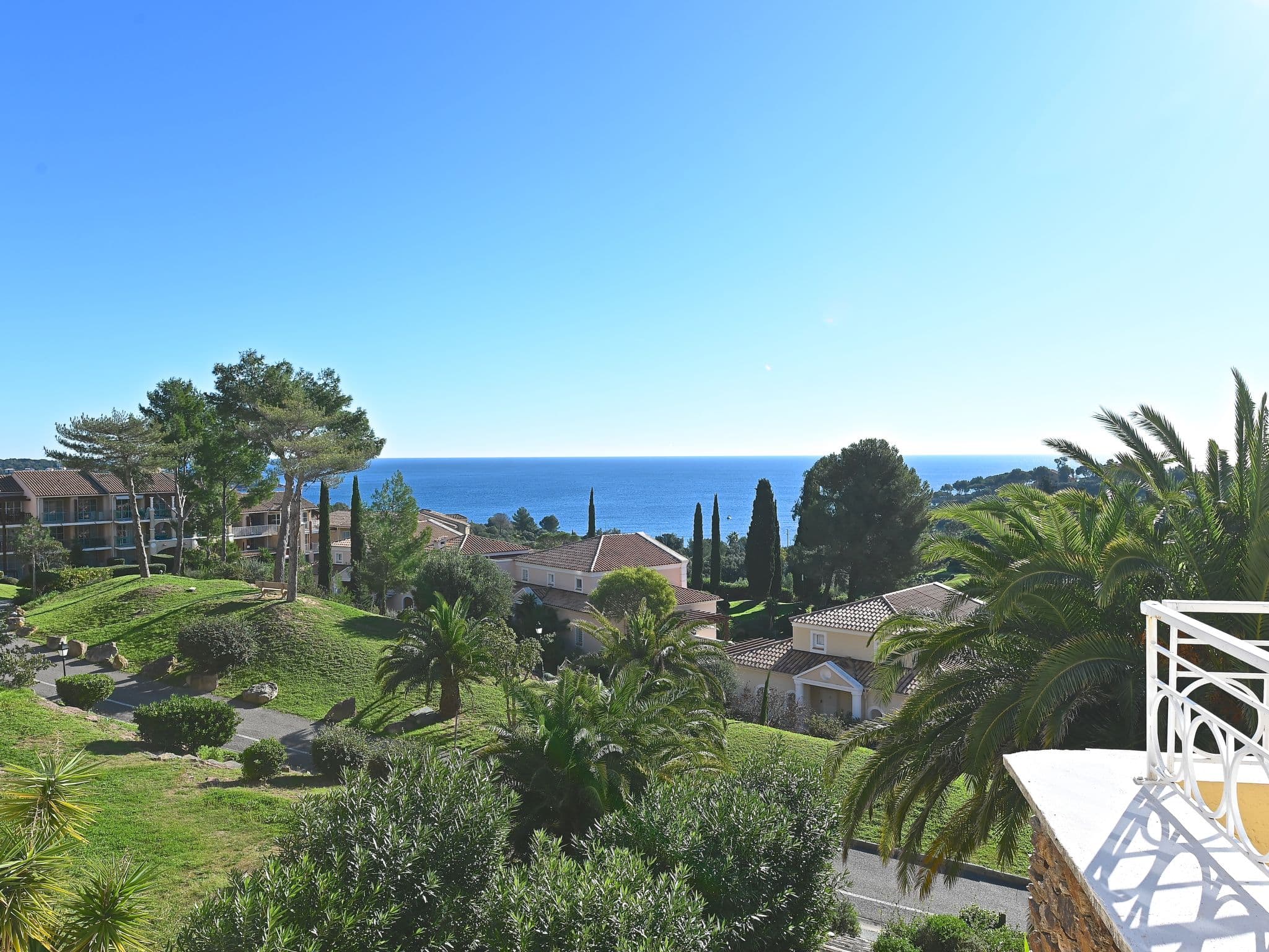 View
