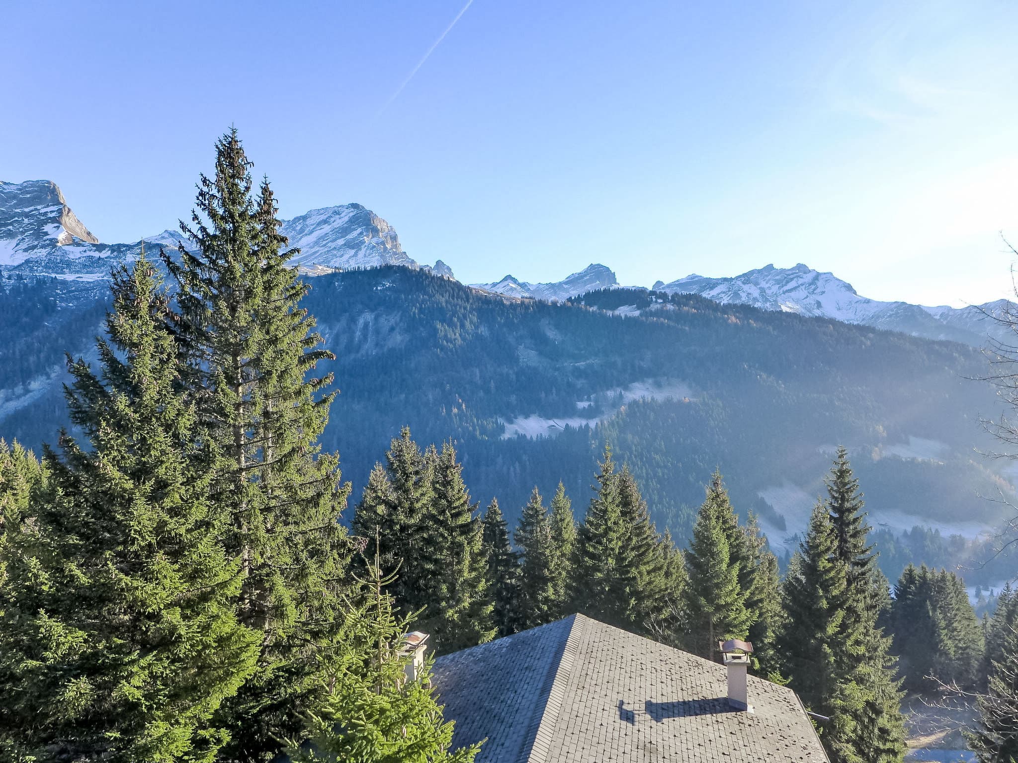 View