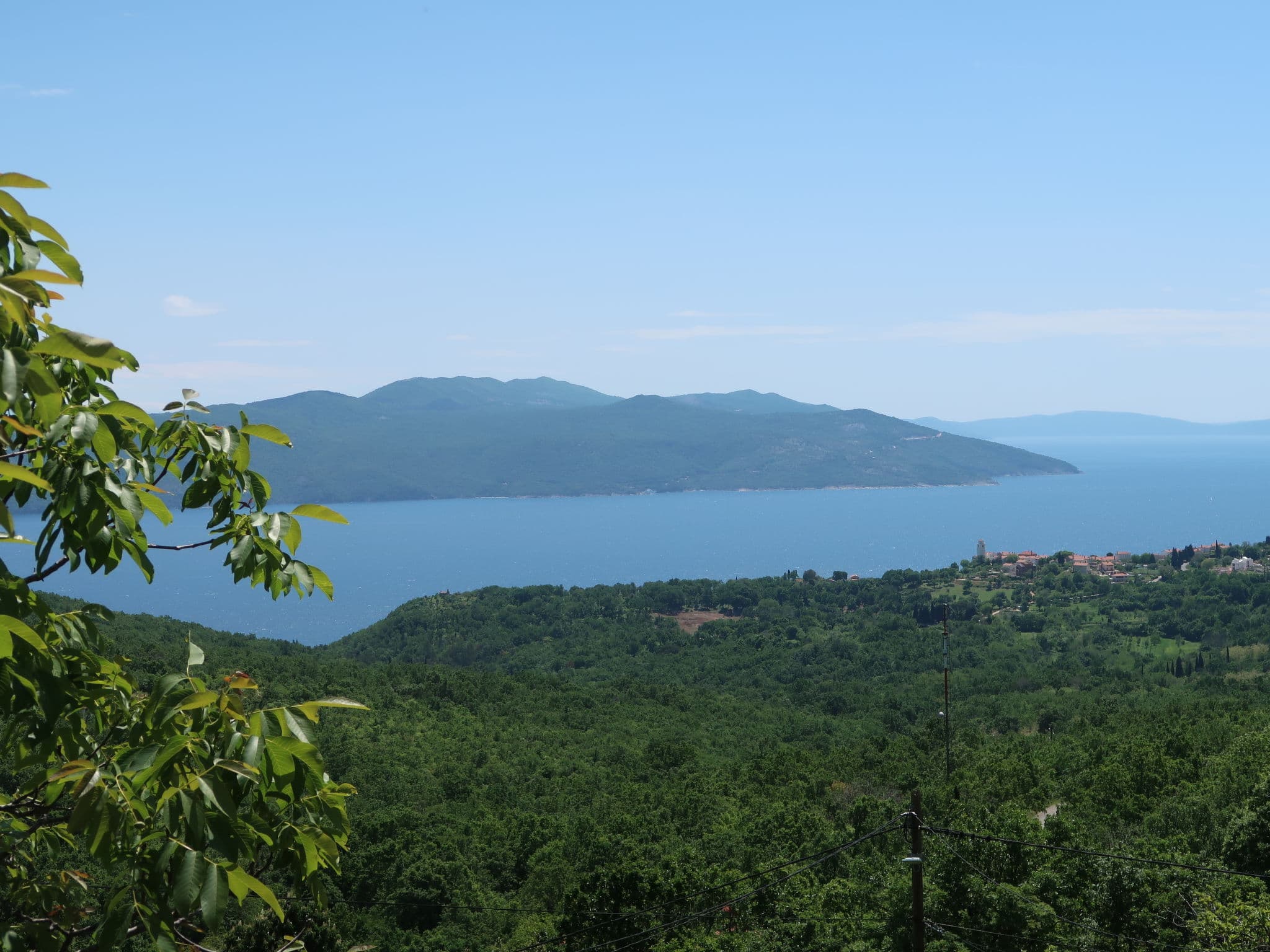 View