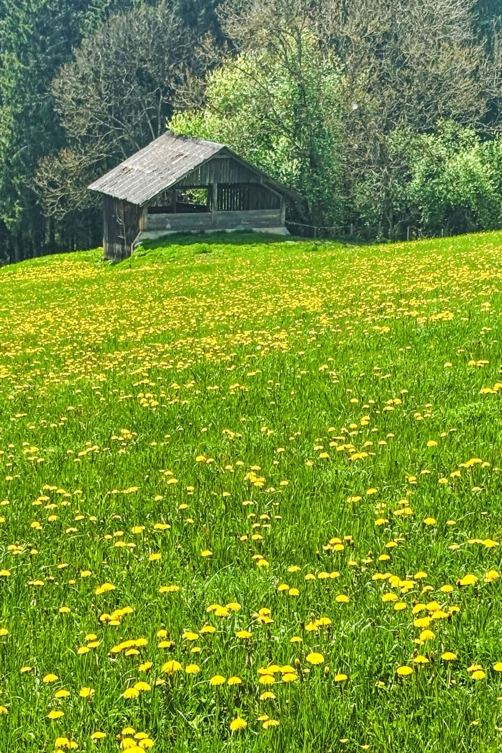 View