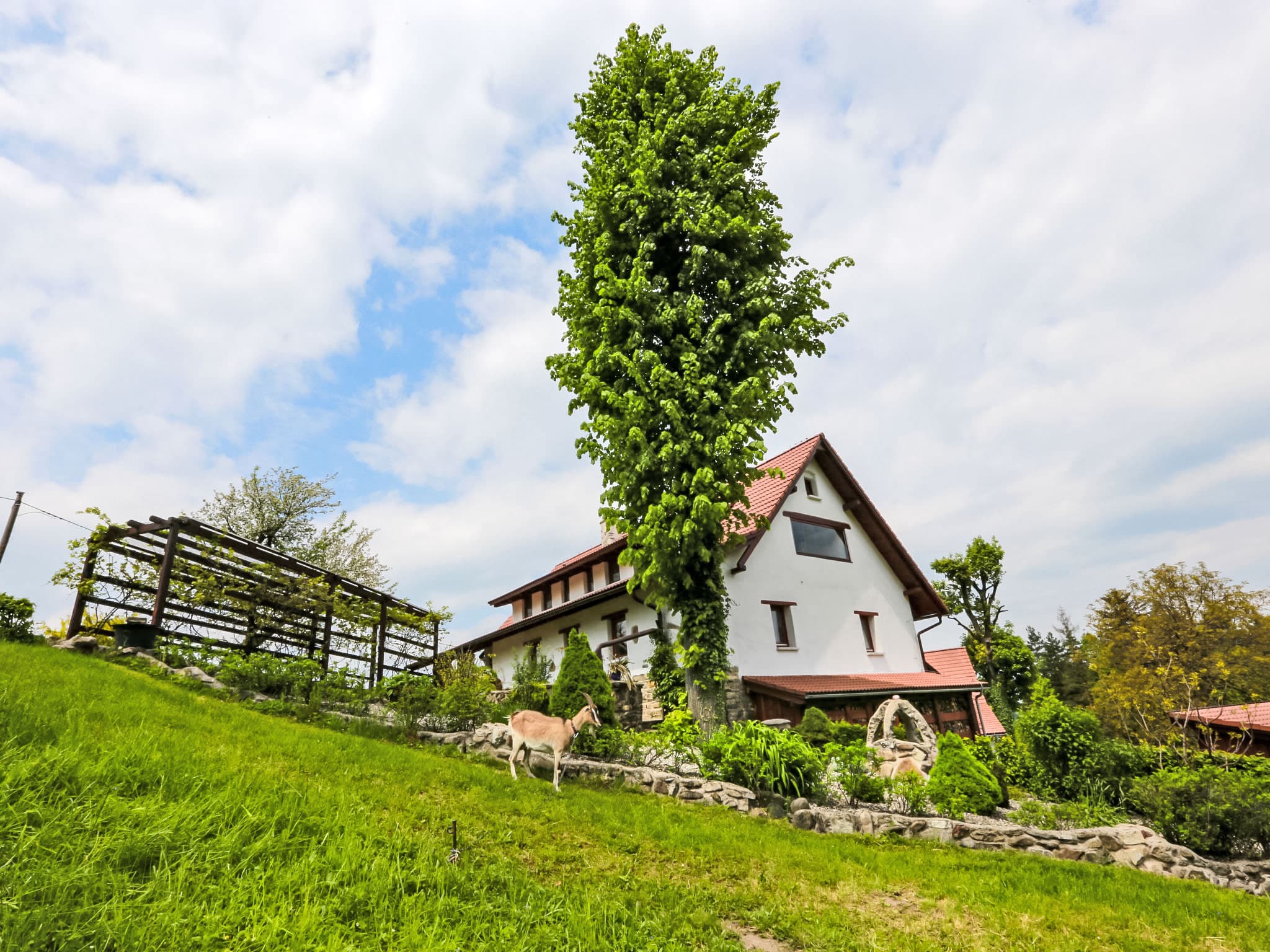 House