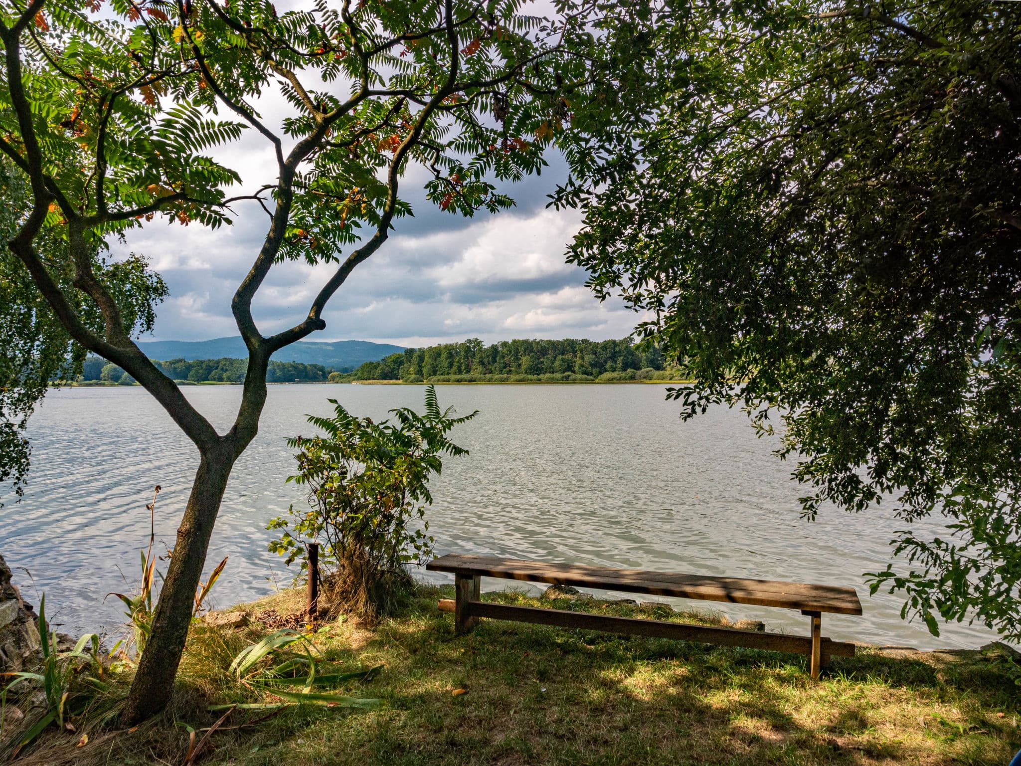 View