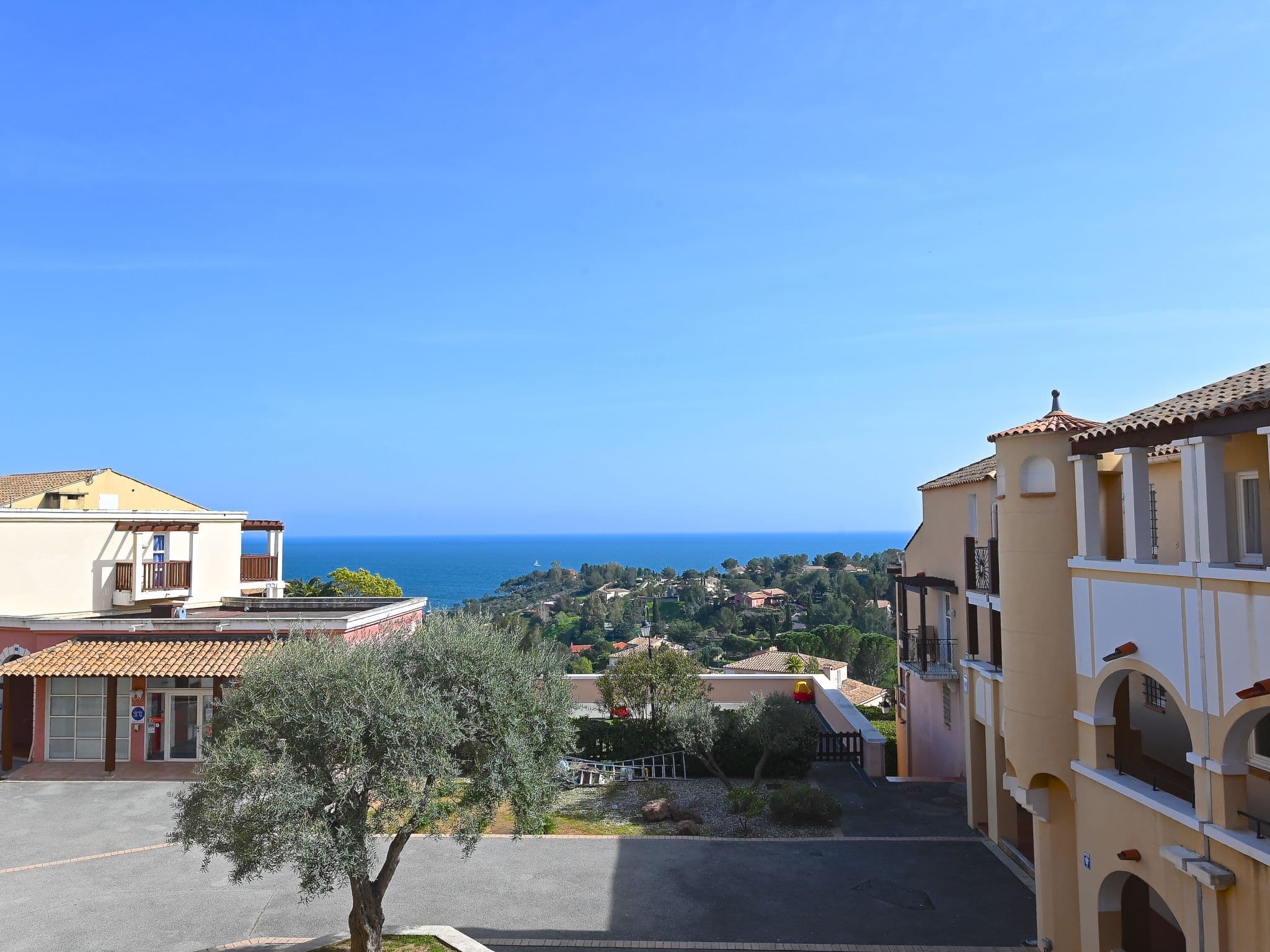 View
