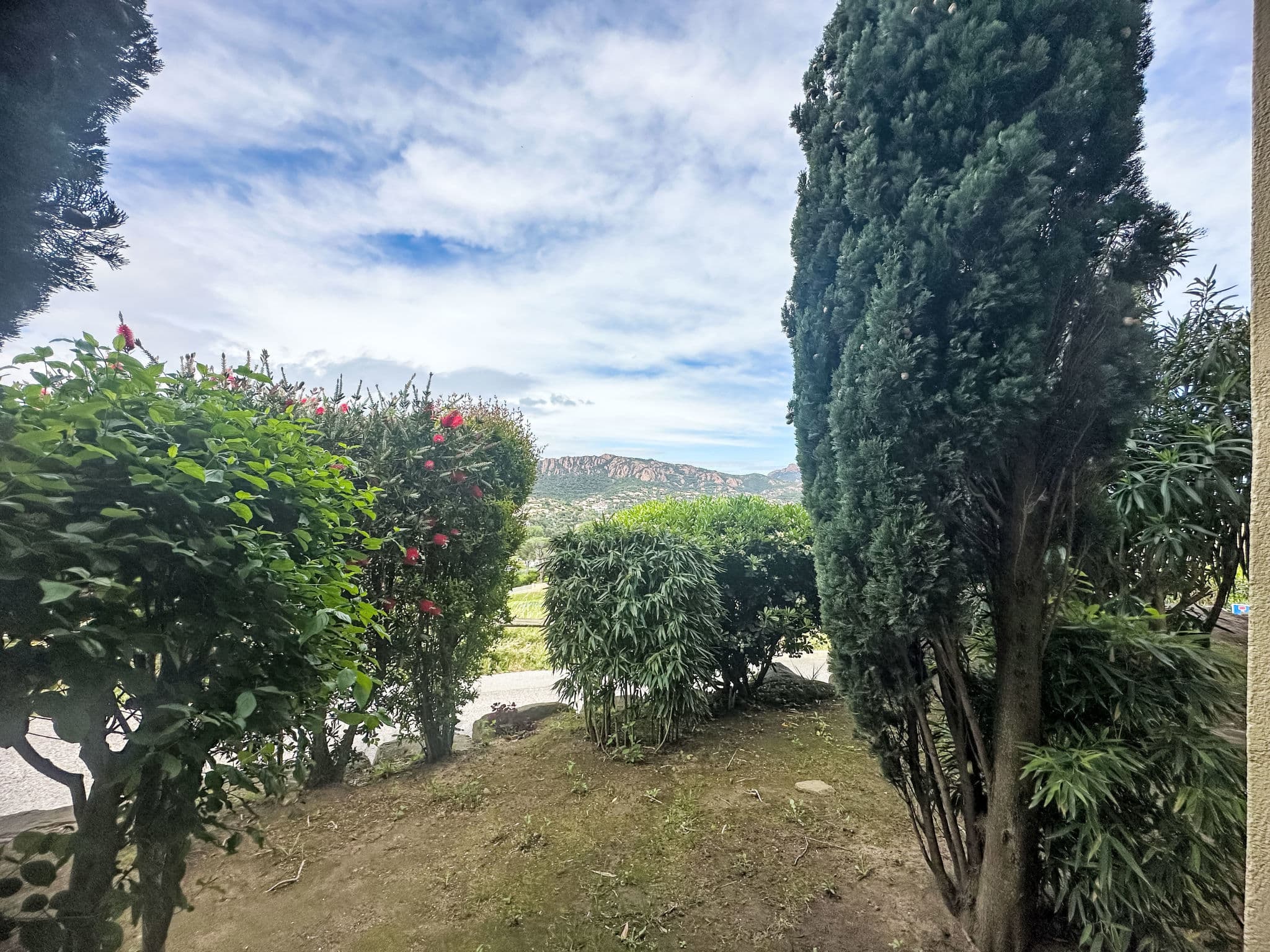 View
