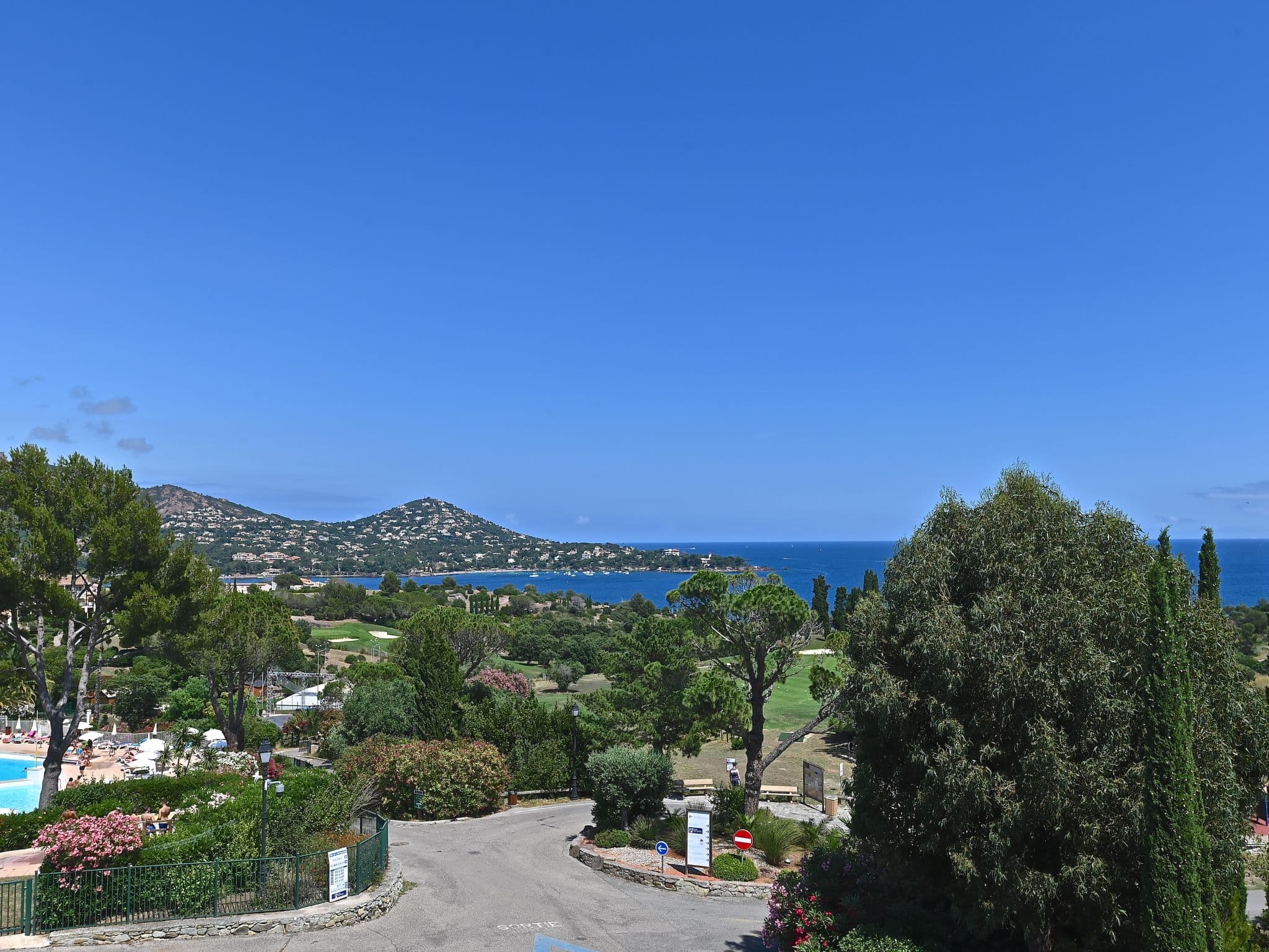 View