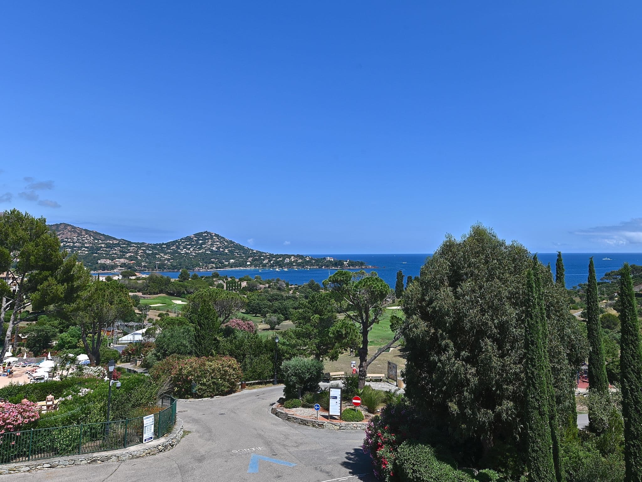 View