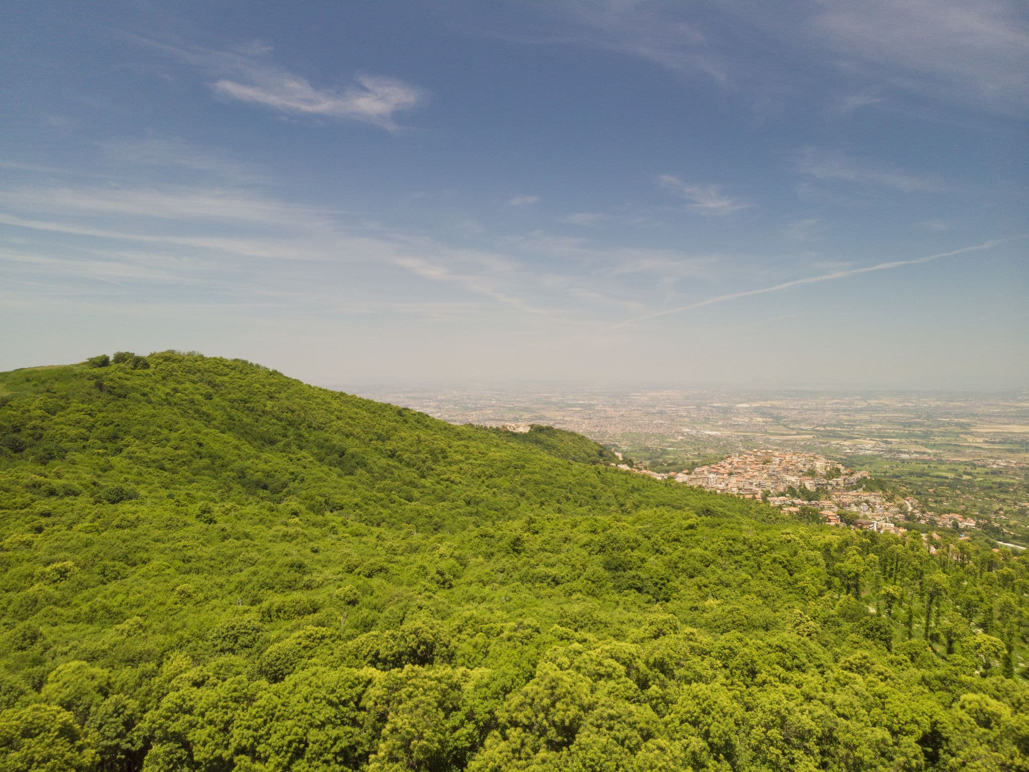 View
