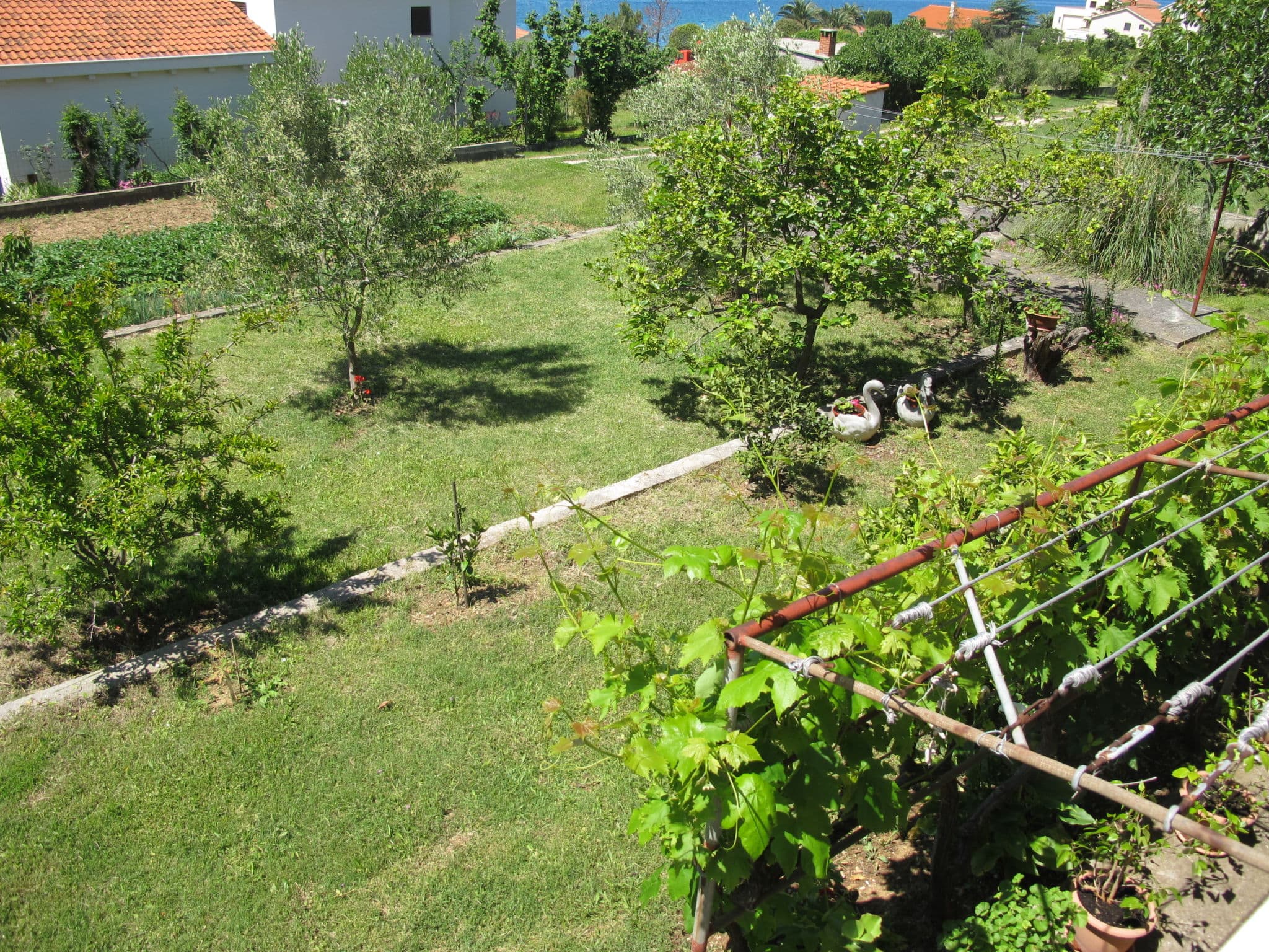 Outdoor