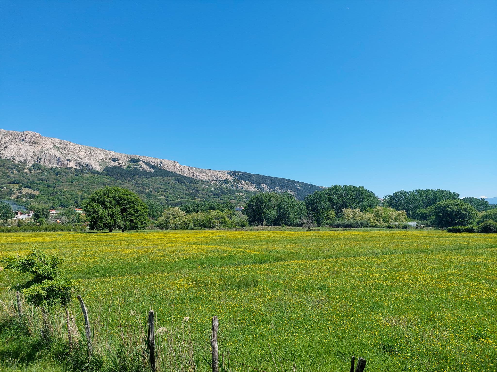 Place