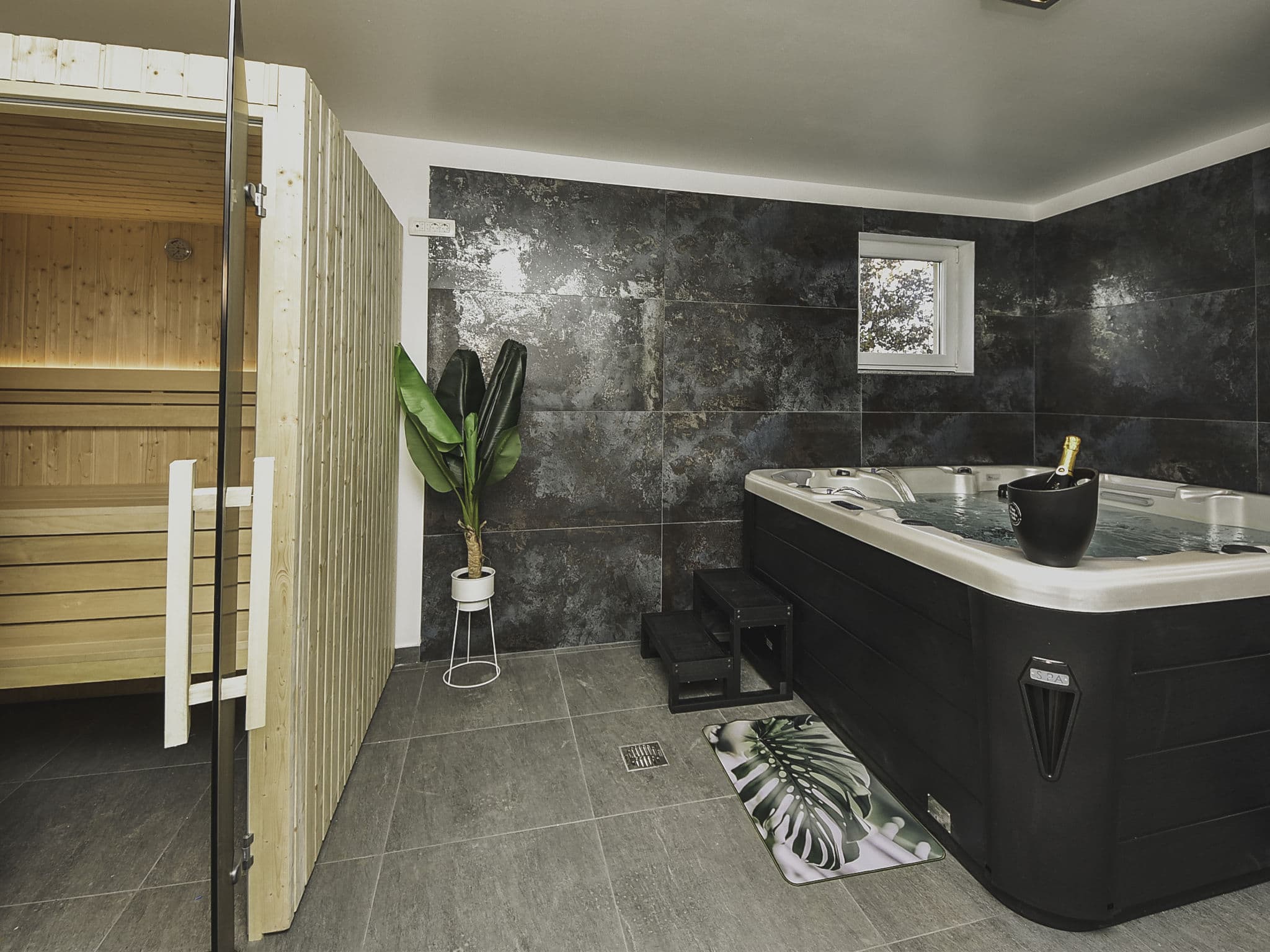 Bathroom / Wellness