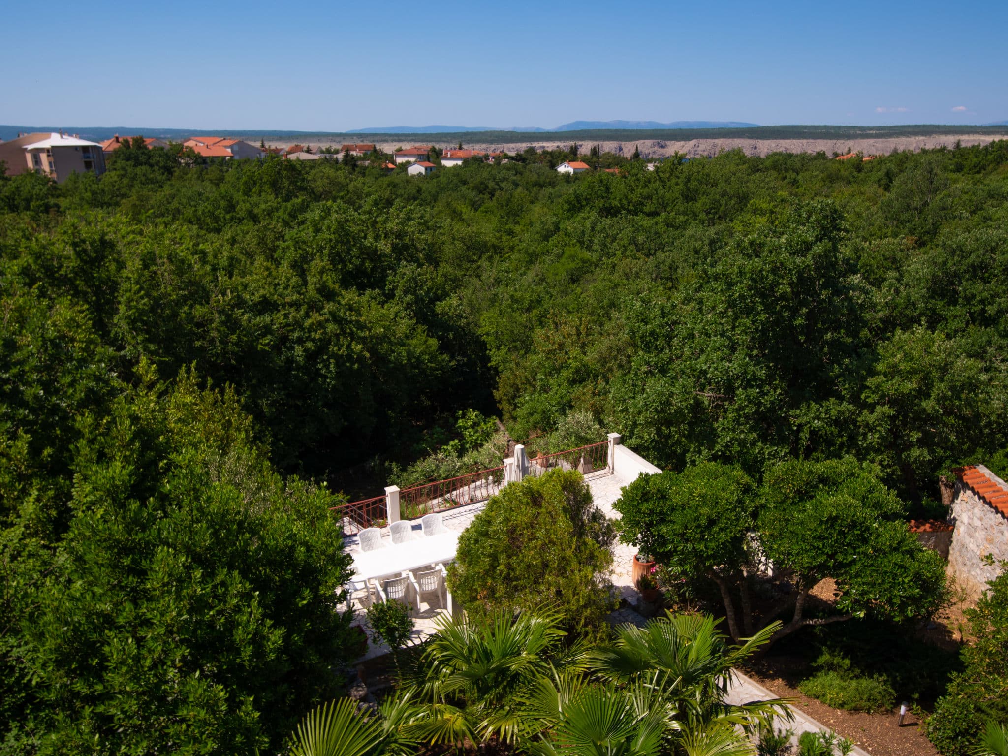 View