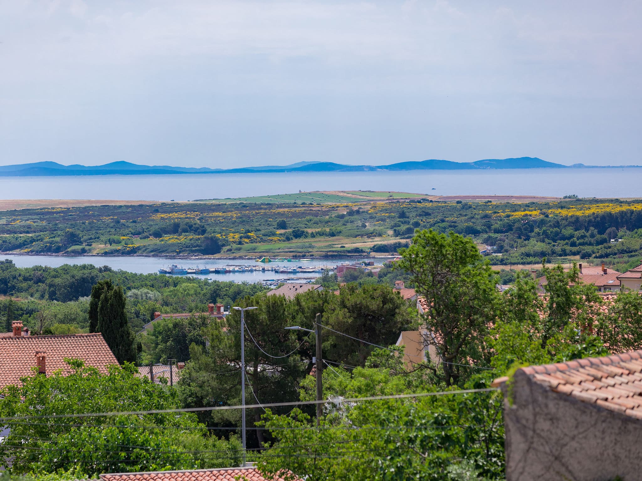 View