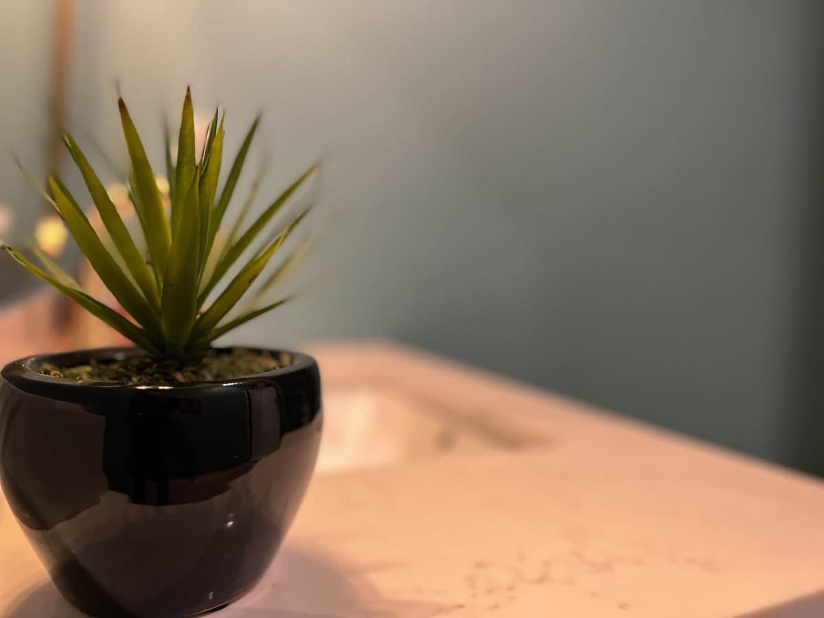 the little details