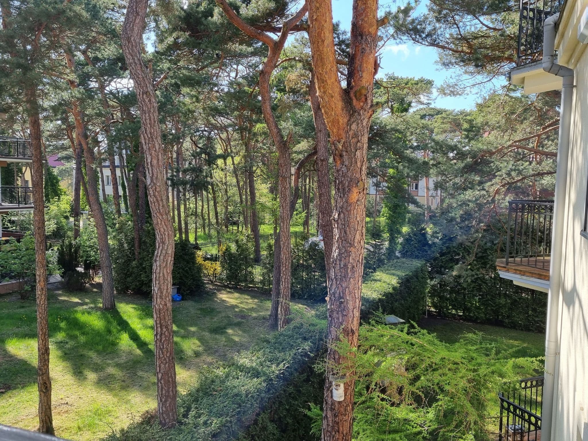View
