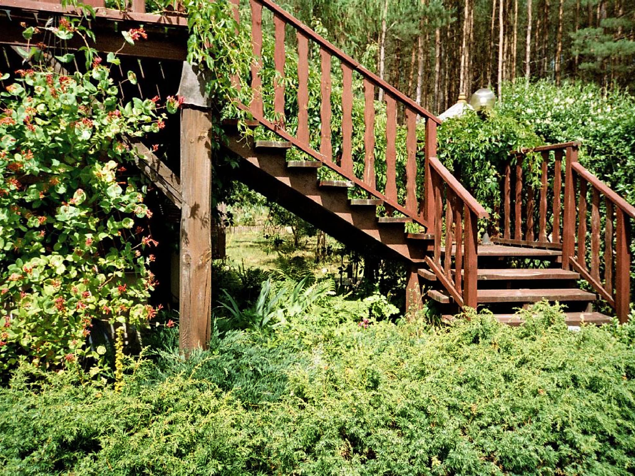 Outdoor