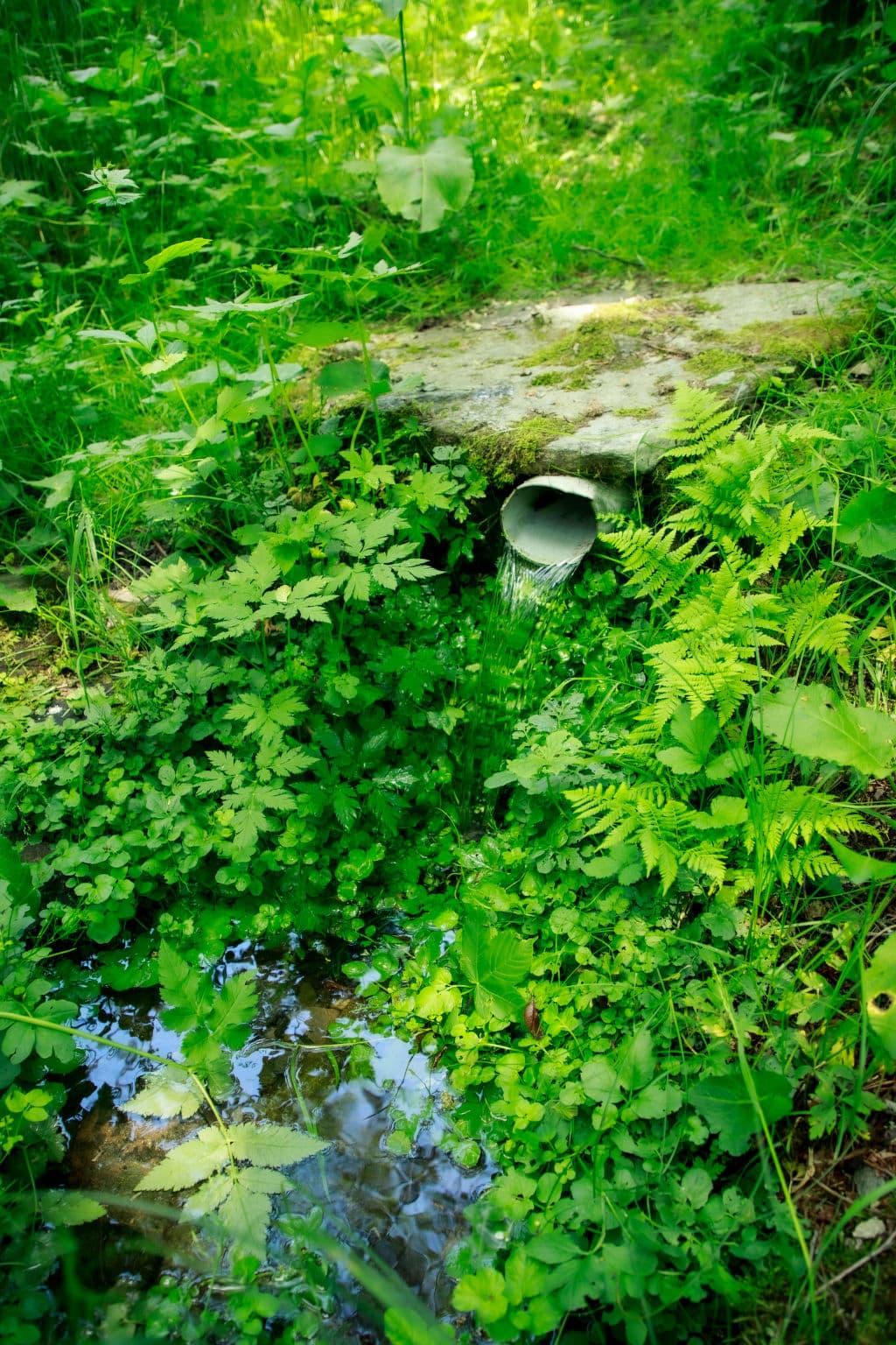 Place