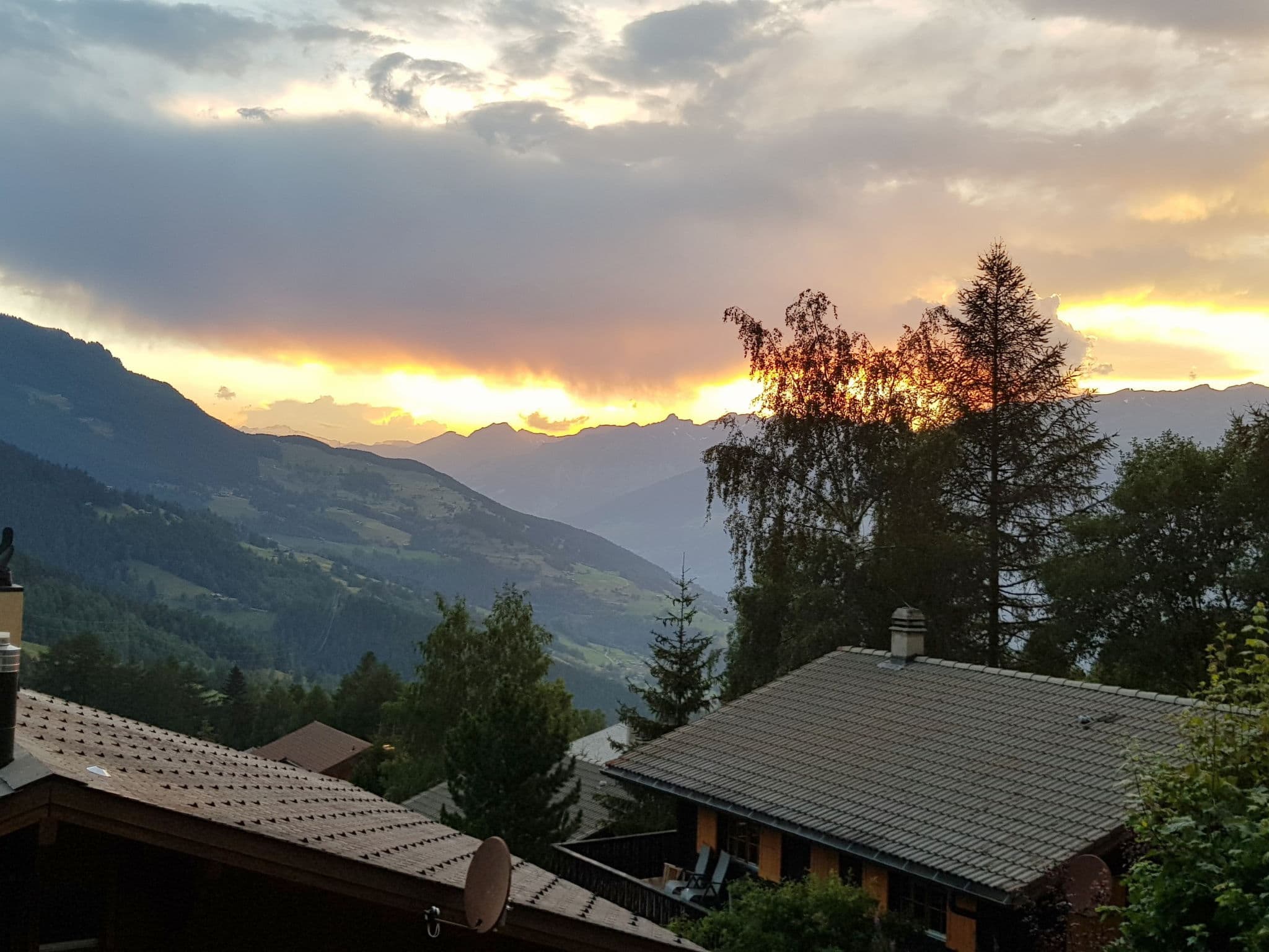 View