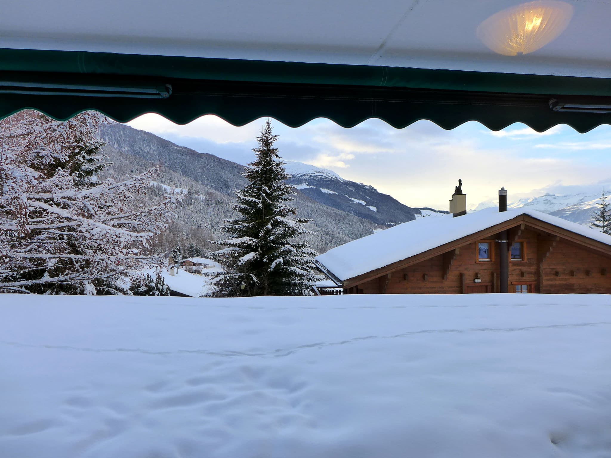 View