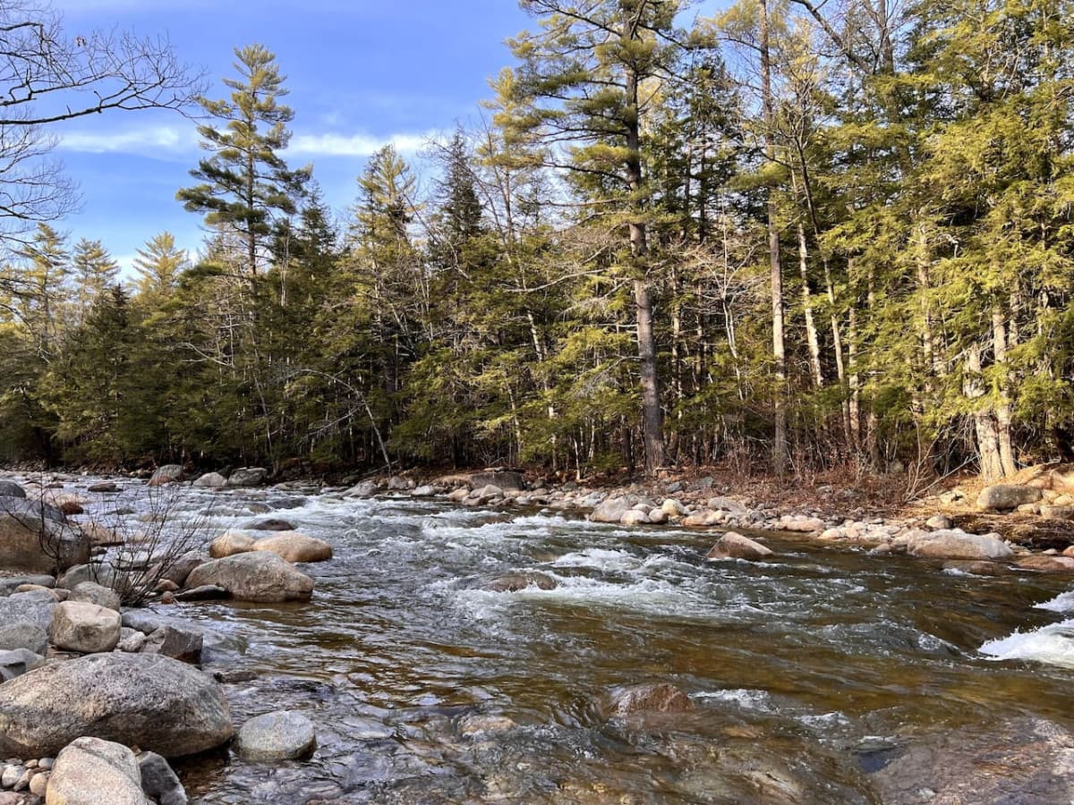 Just minutes away on Town Hall Road you'll find the river.