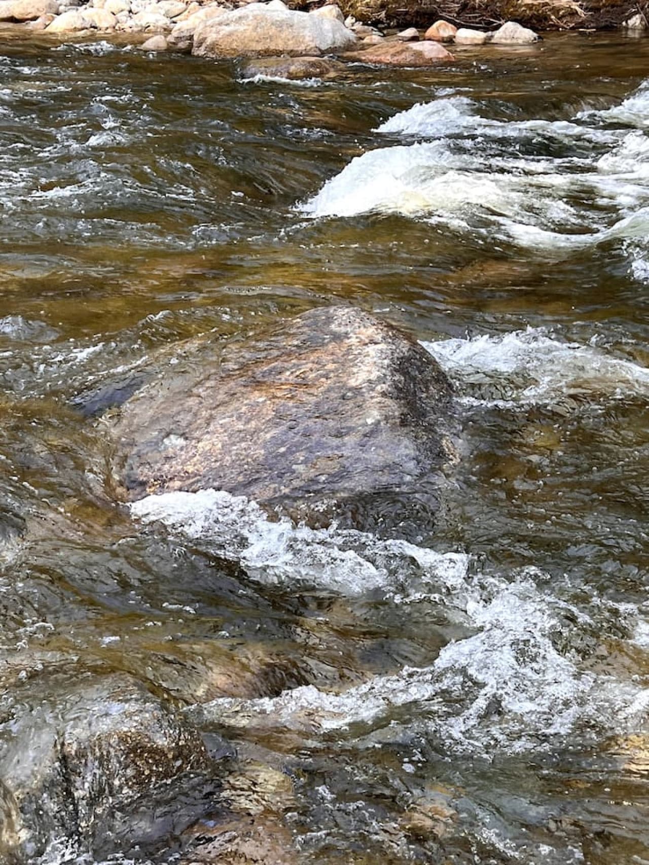 Gallery Image 65