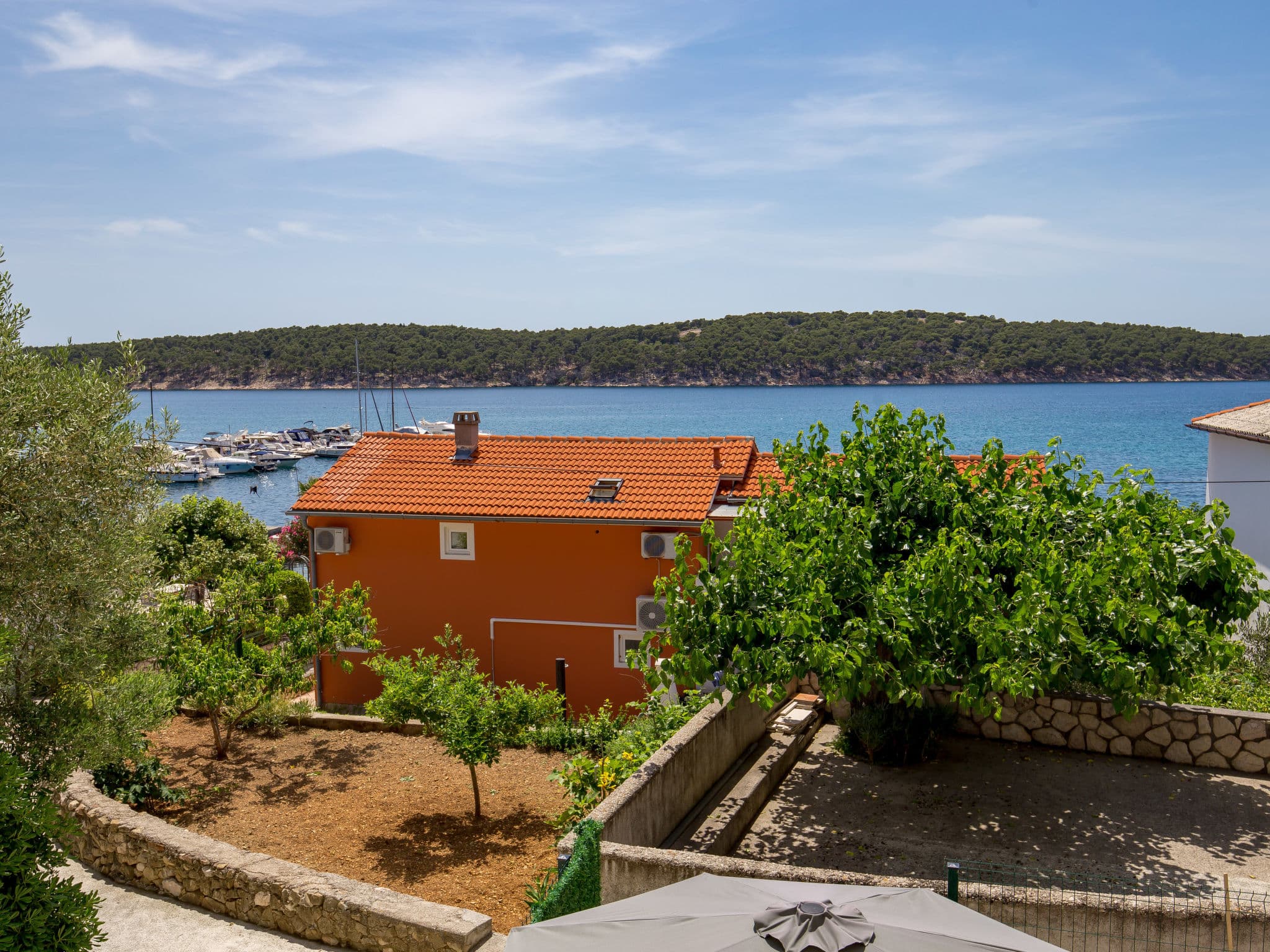 View