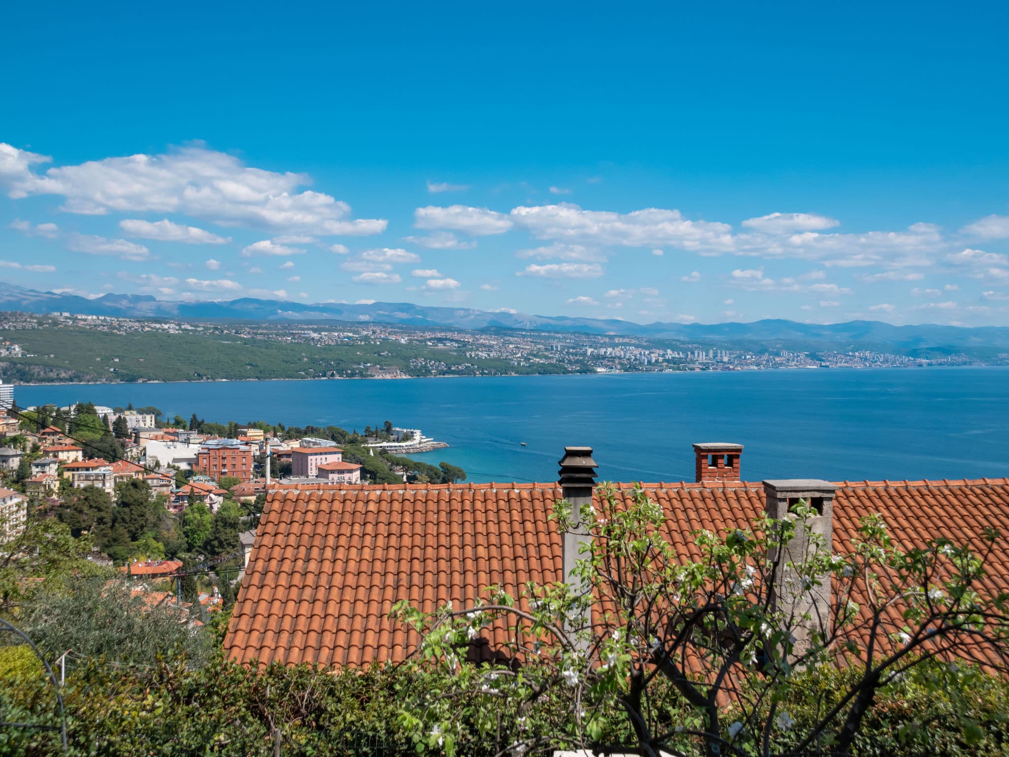 View