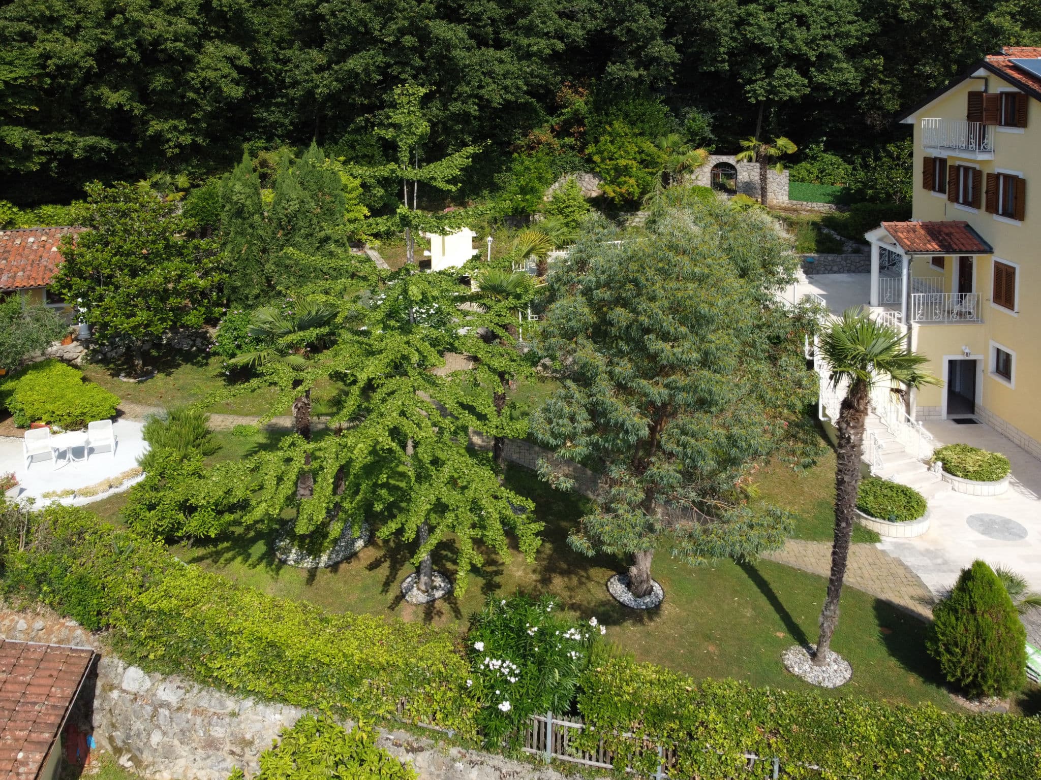Aerial photography