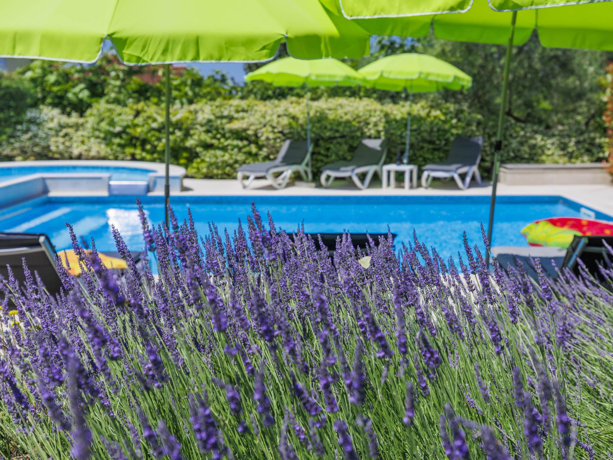 Pool Outdoor