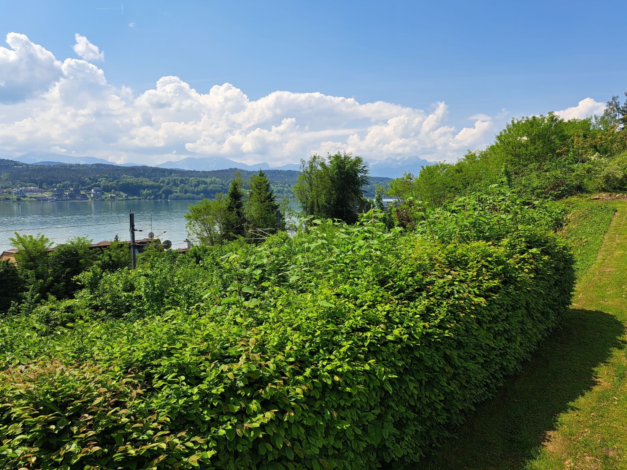 View