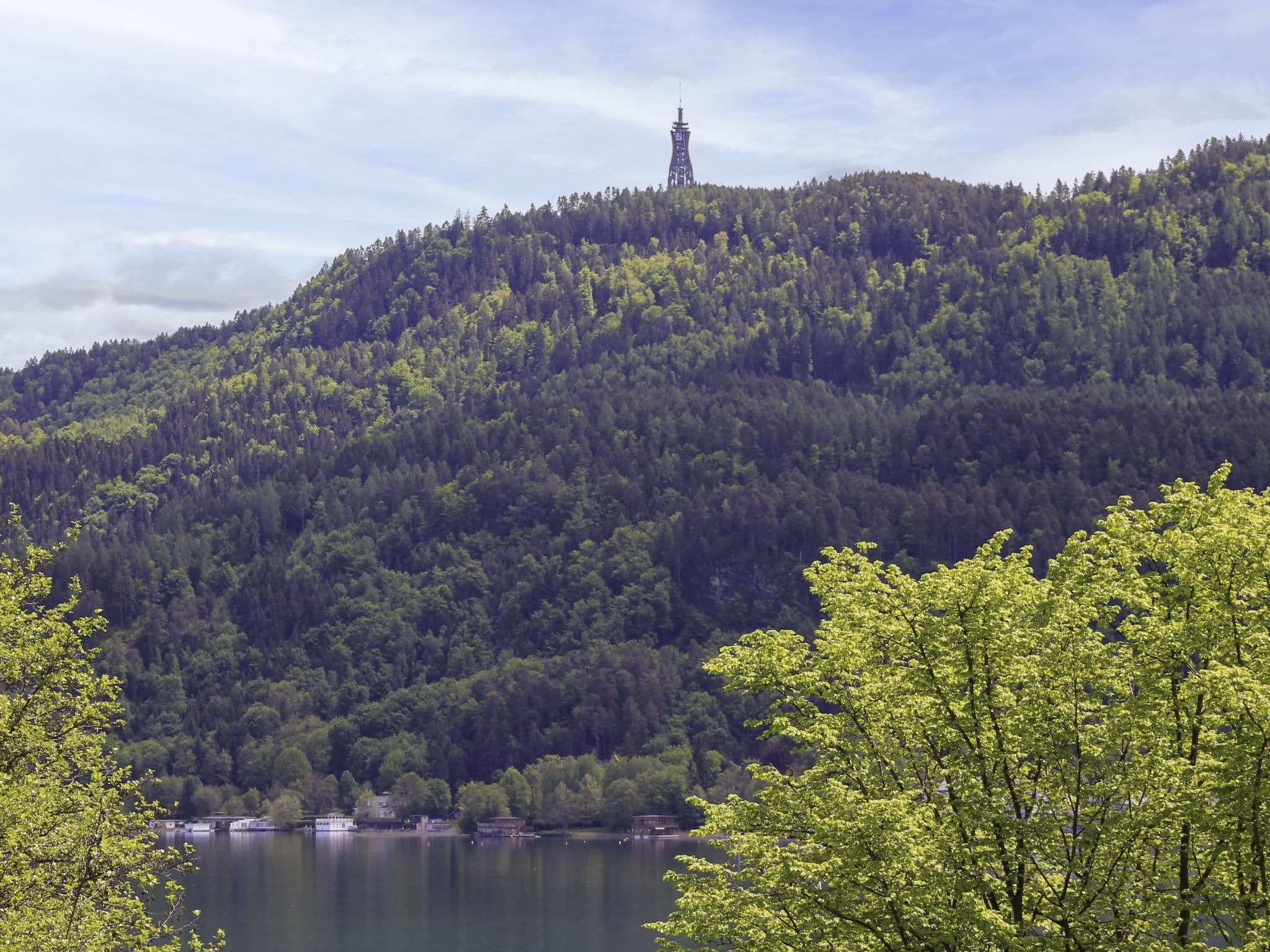 View