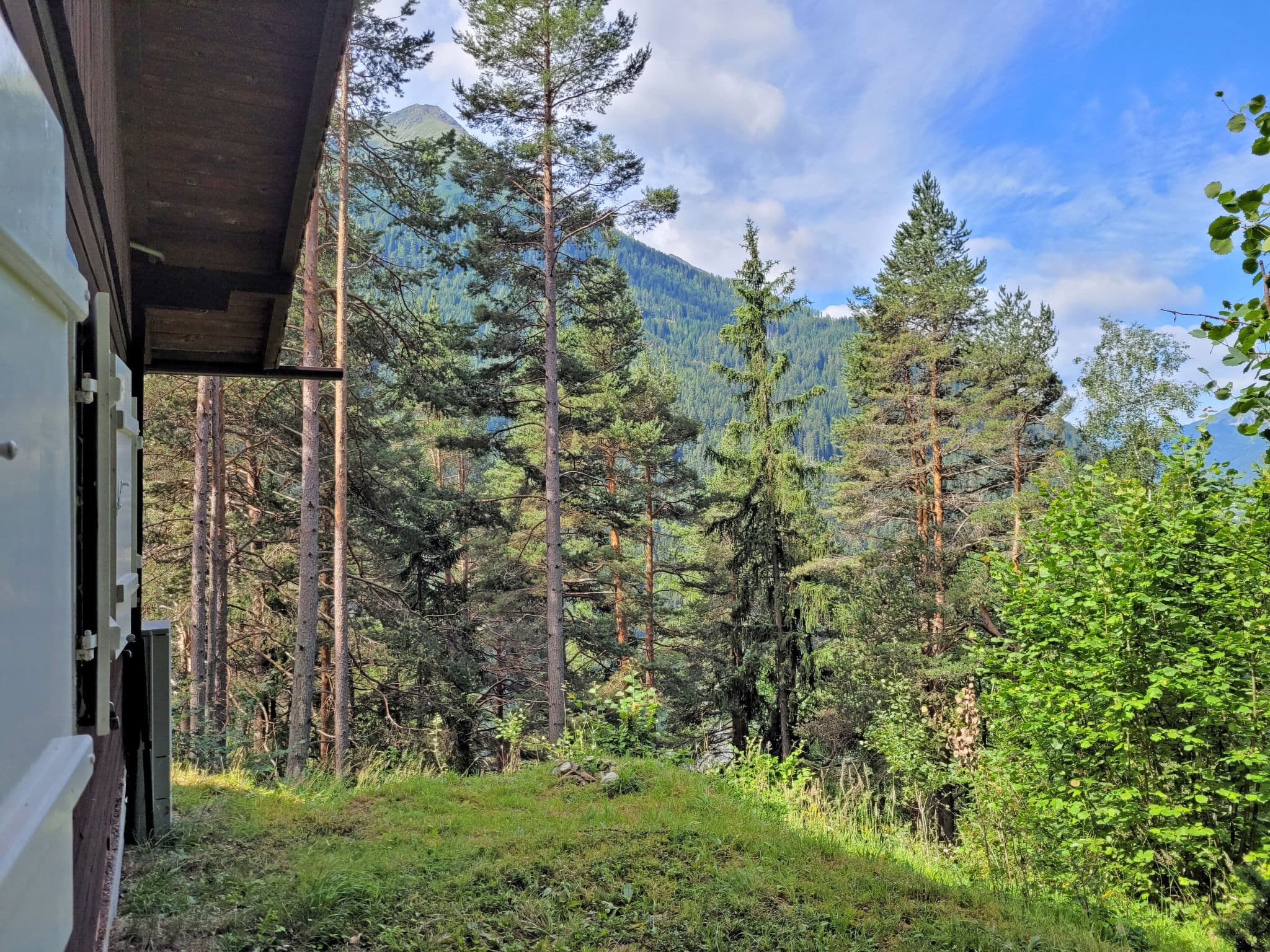 View