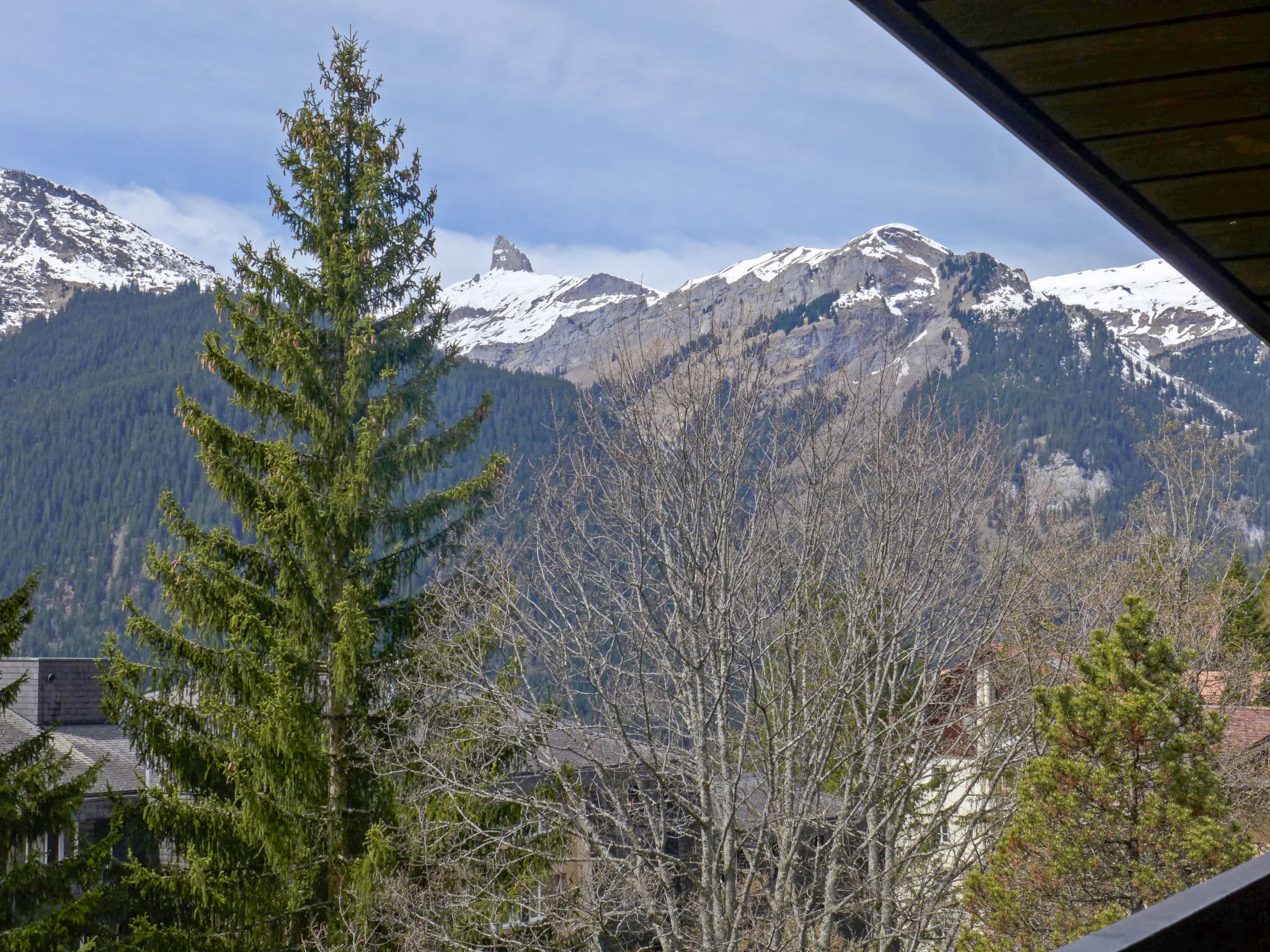 View