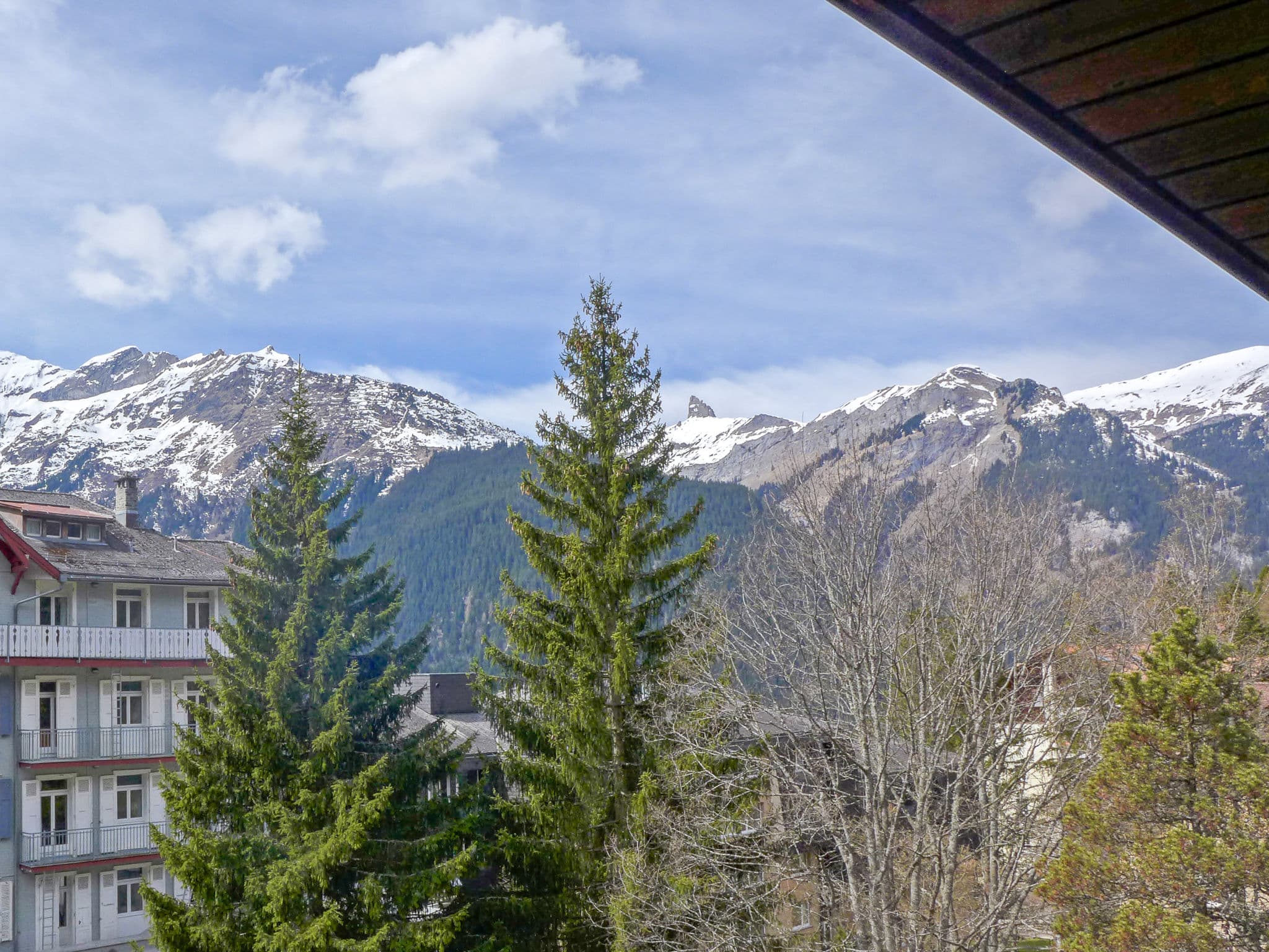 View