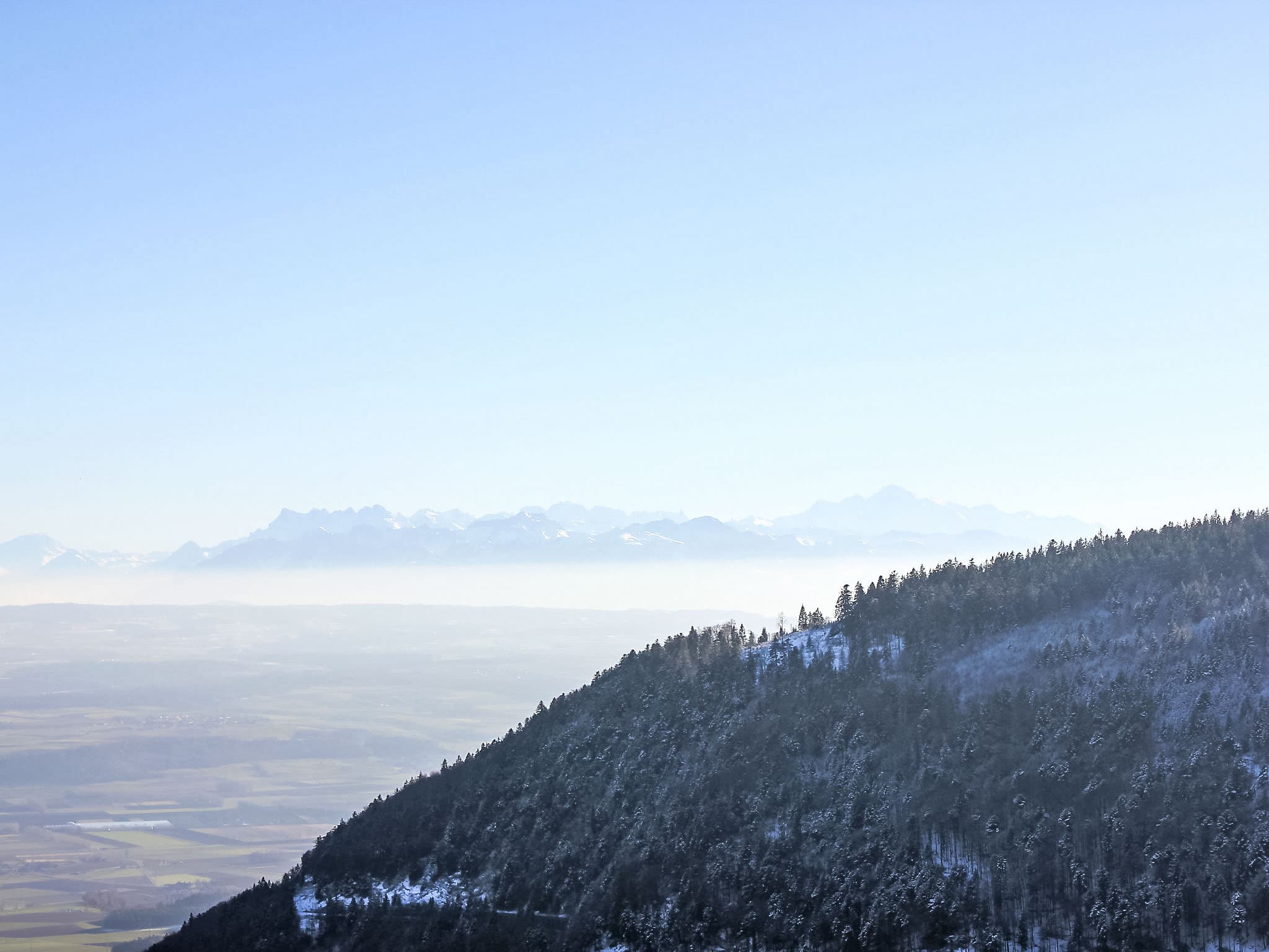 View