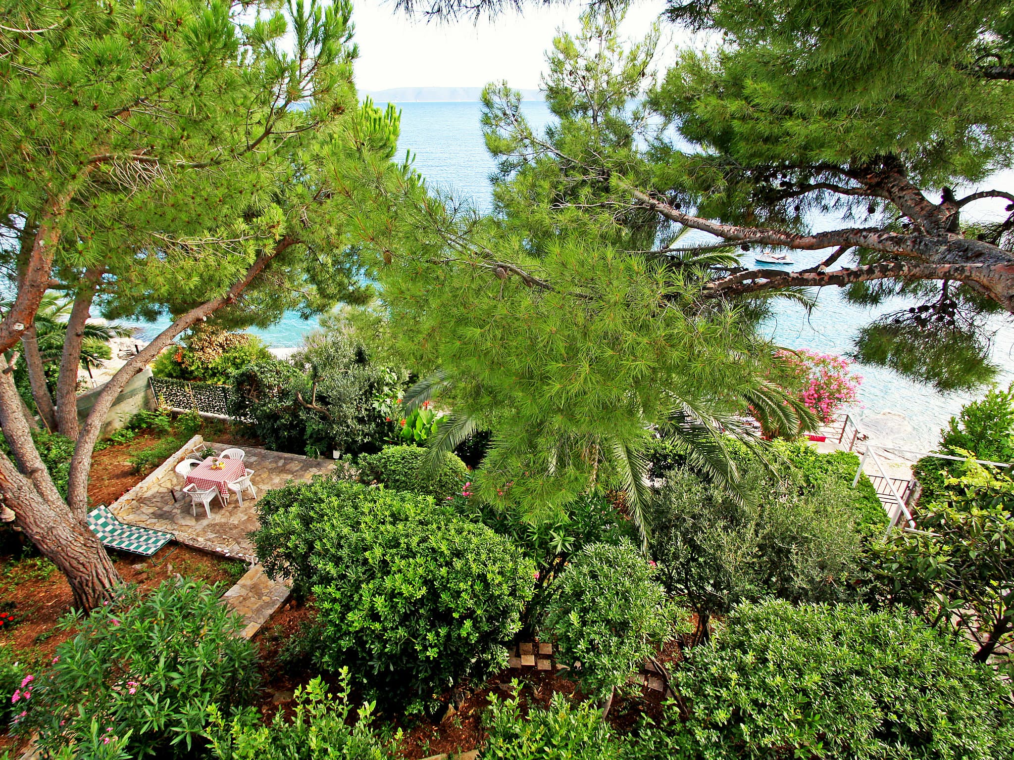 View