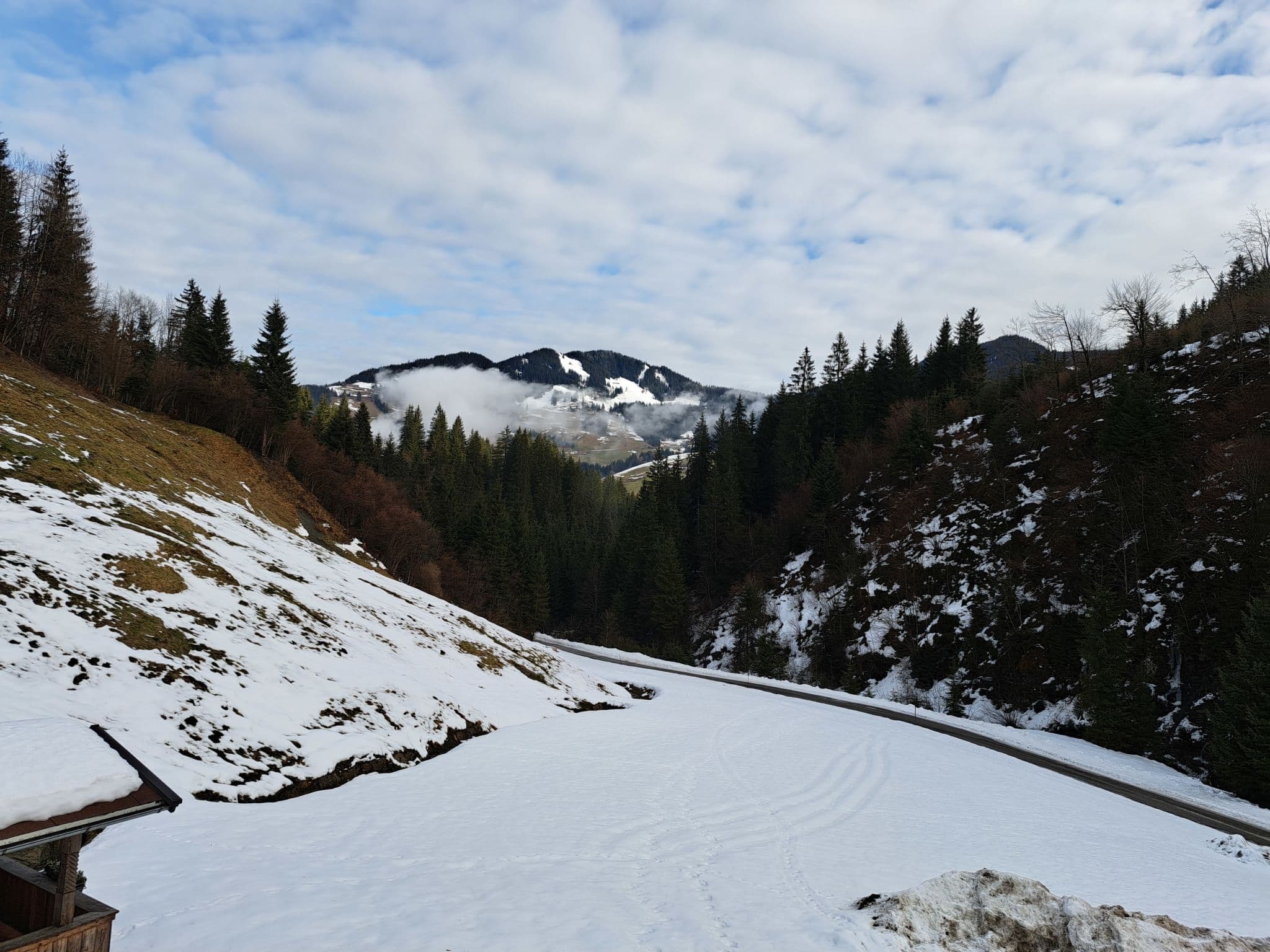 View