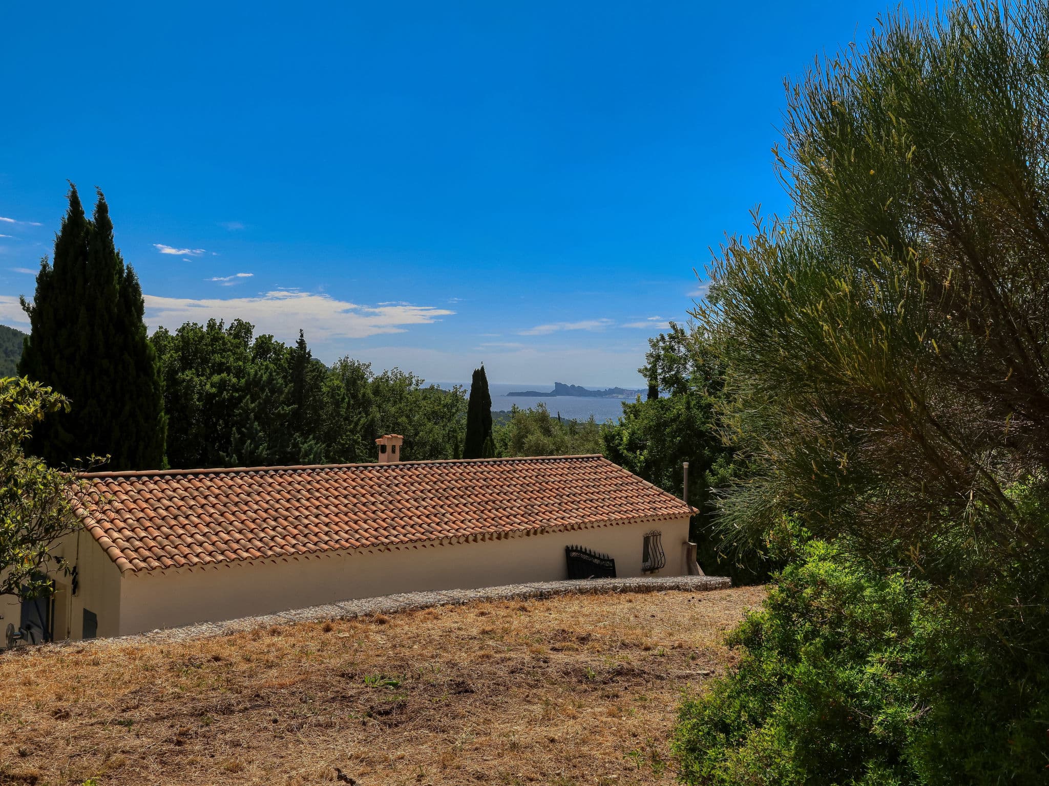 View