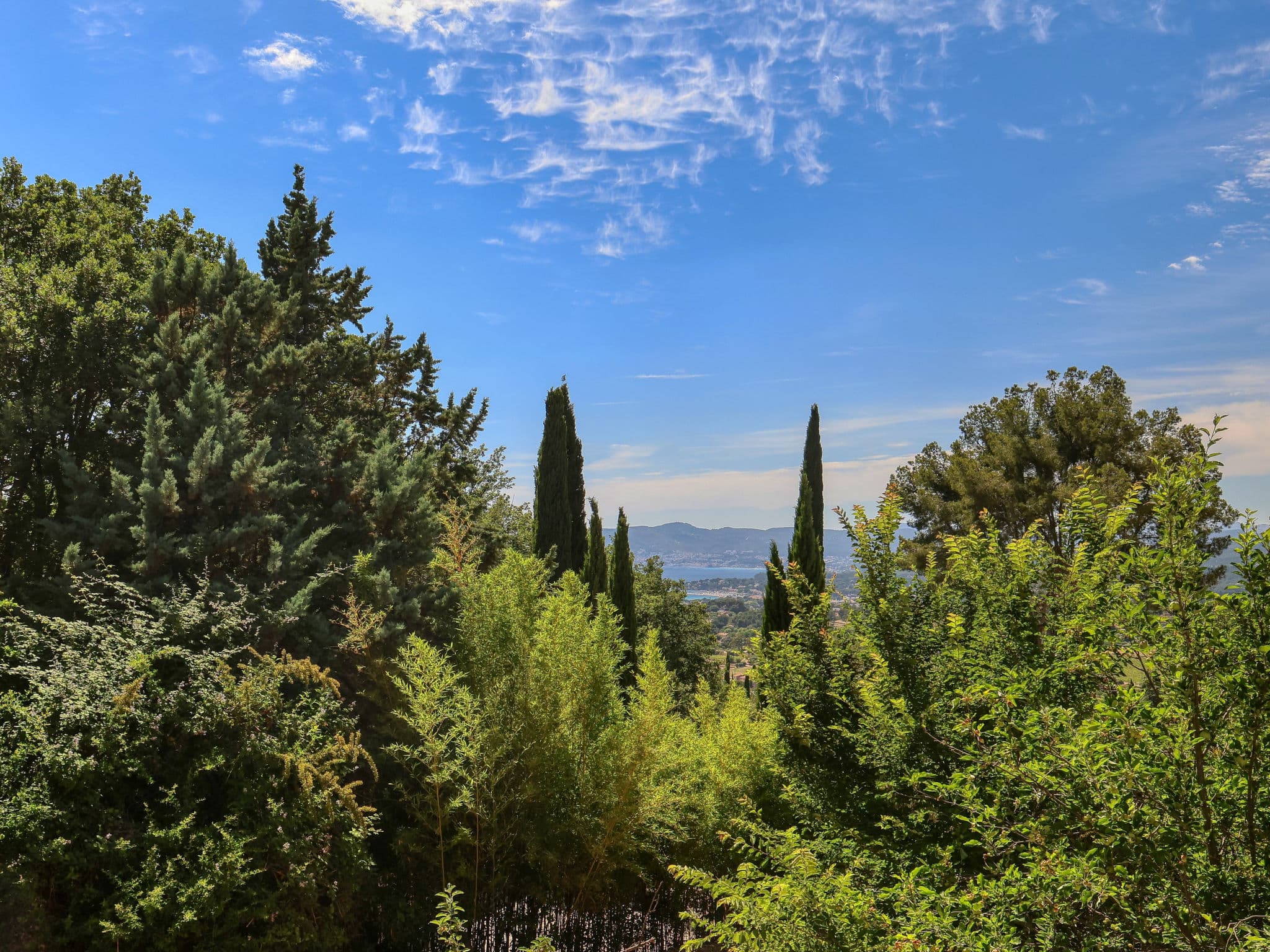 View