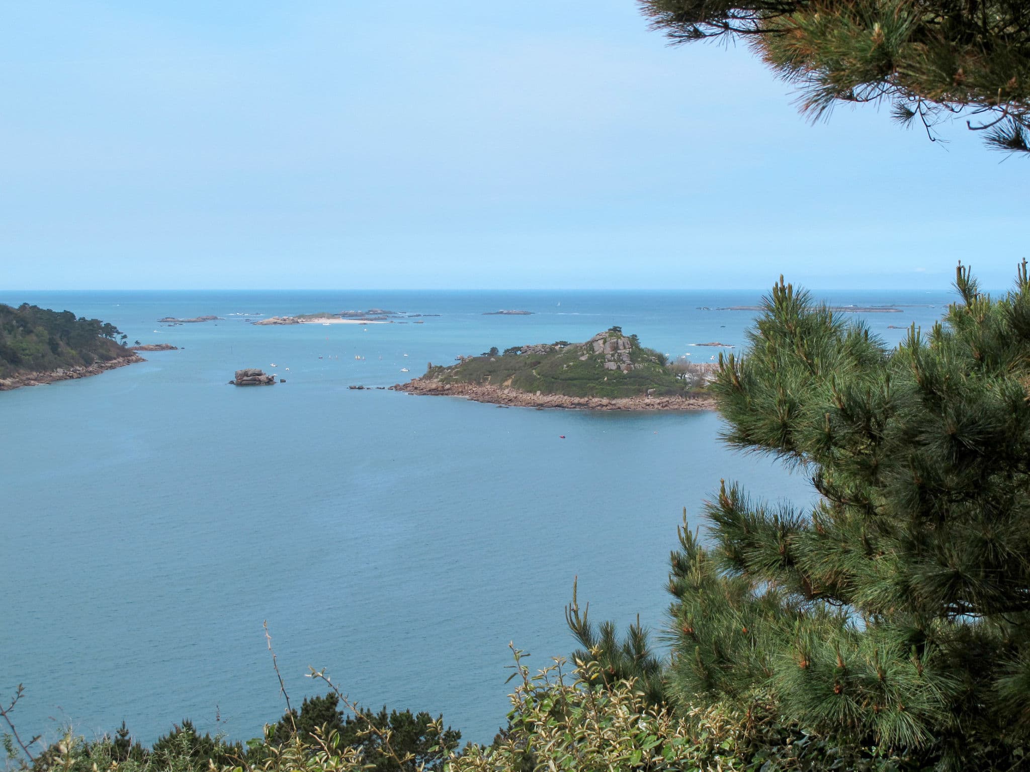 View