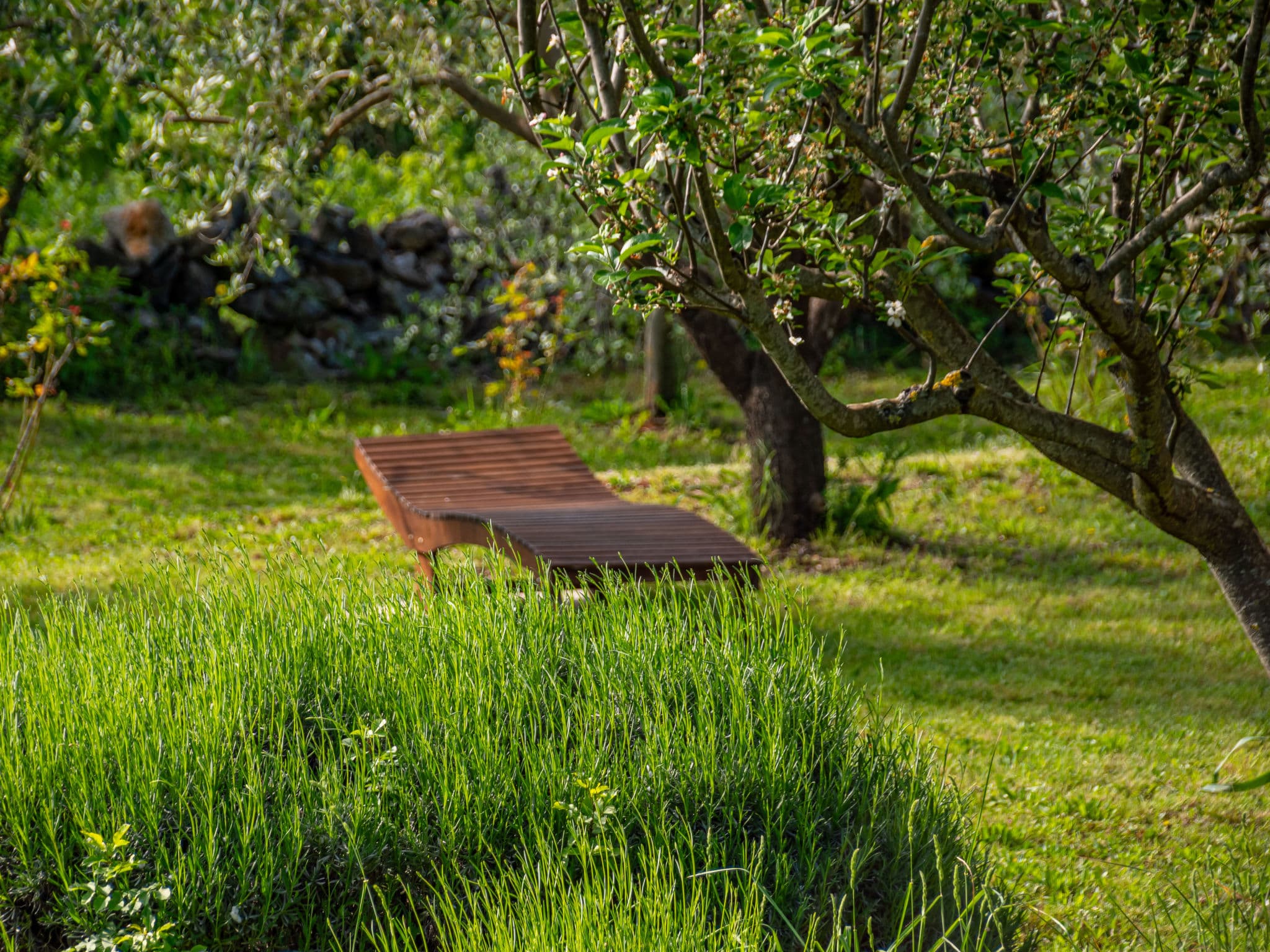 Outdoor
