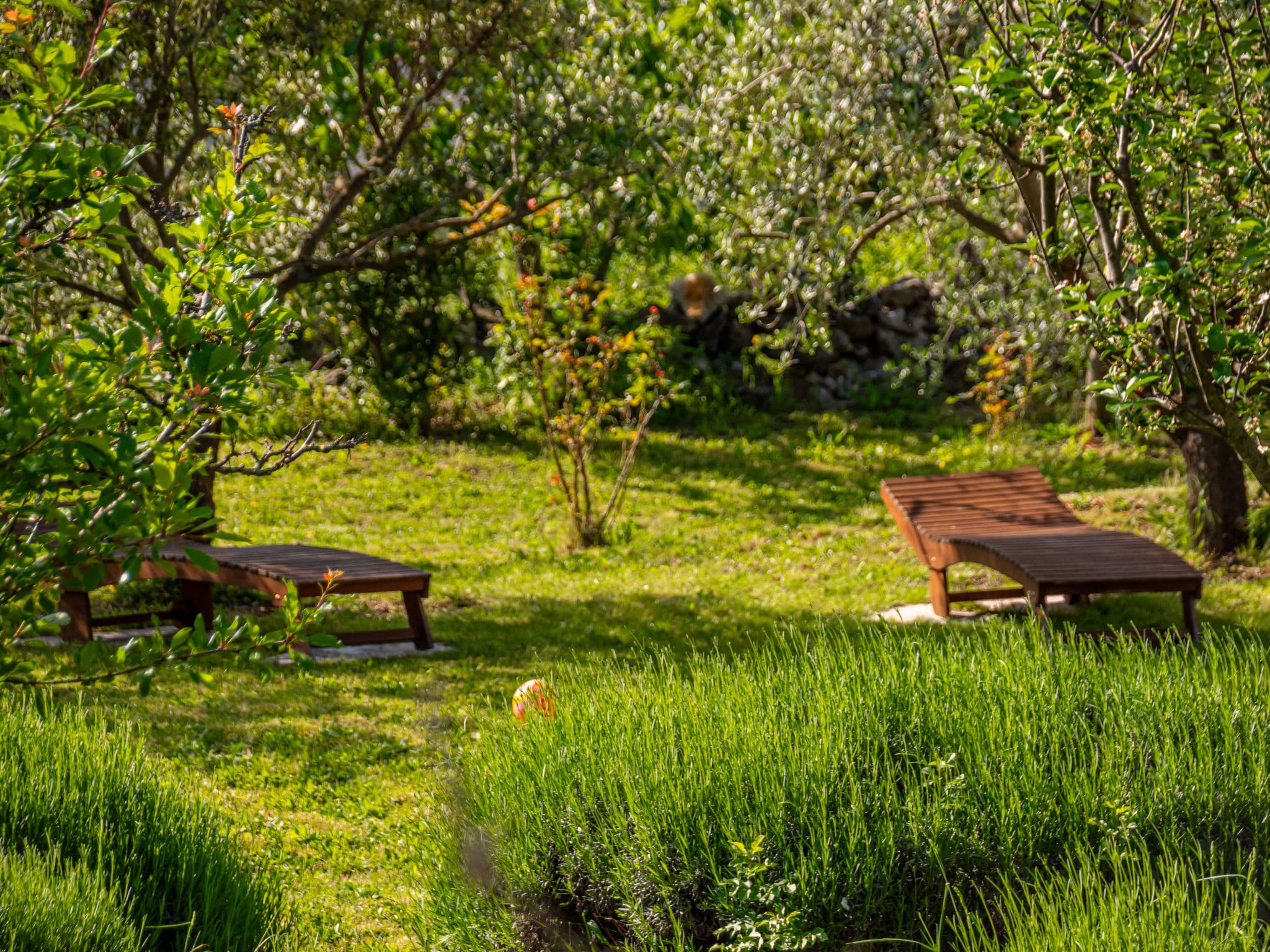 Outdoor