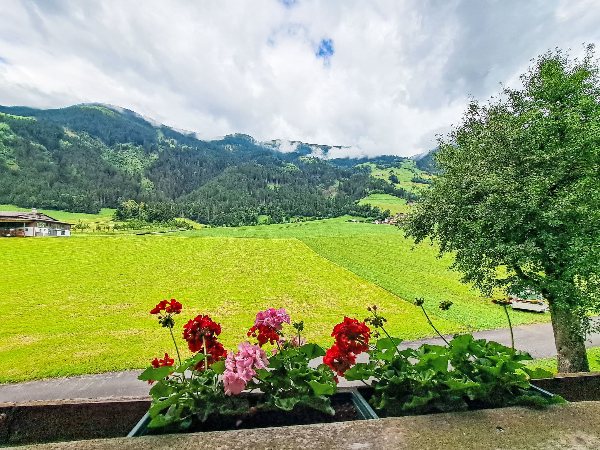 View