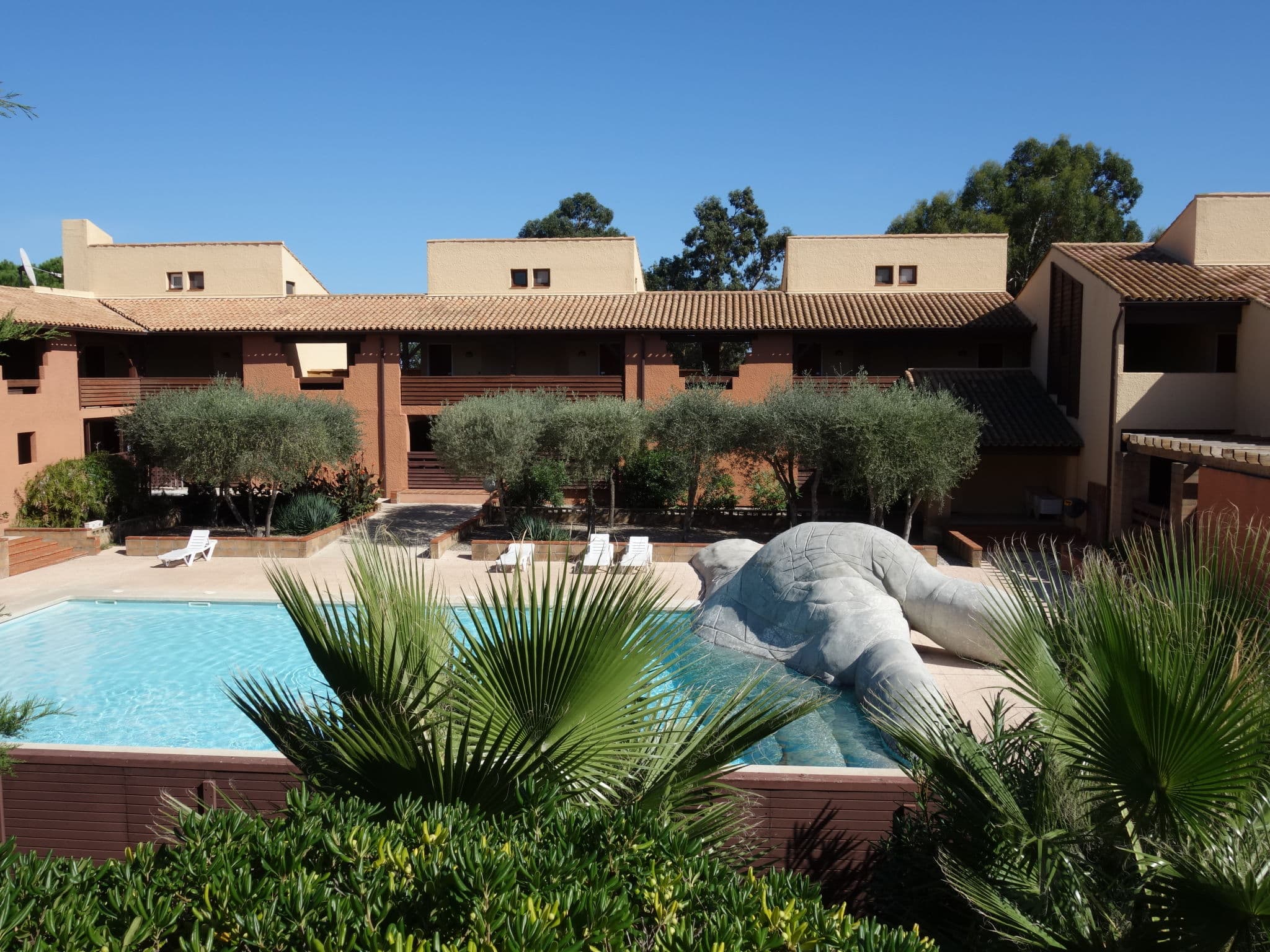 Pool Outdoor